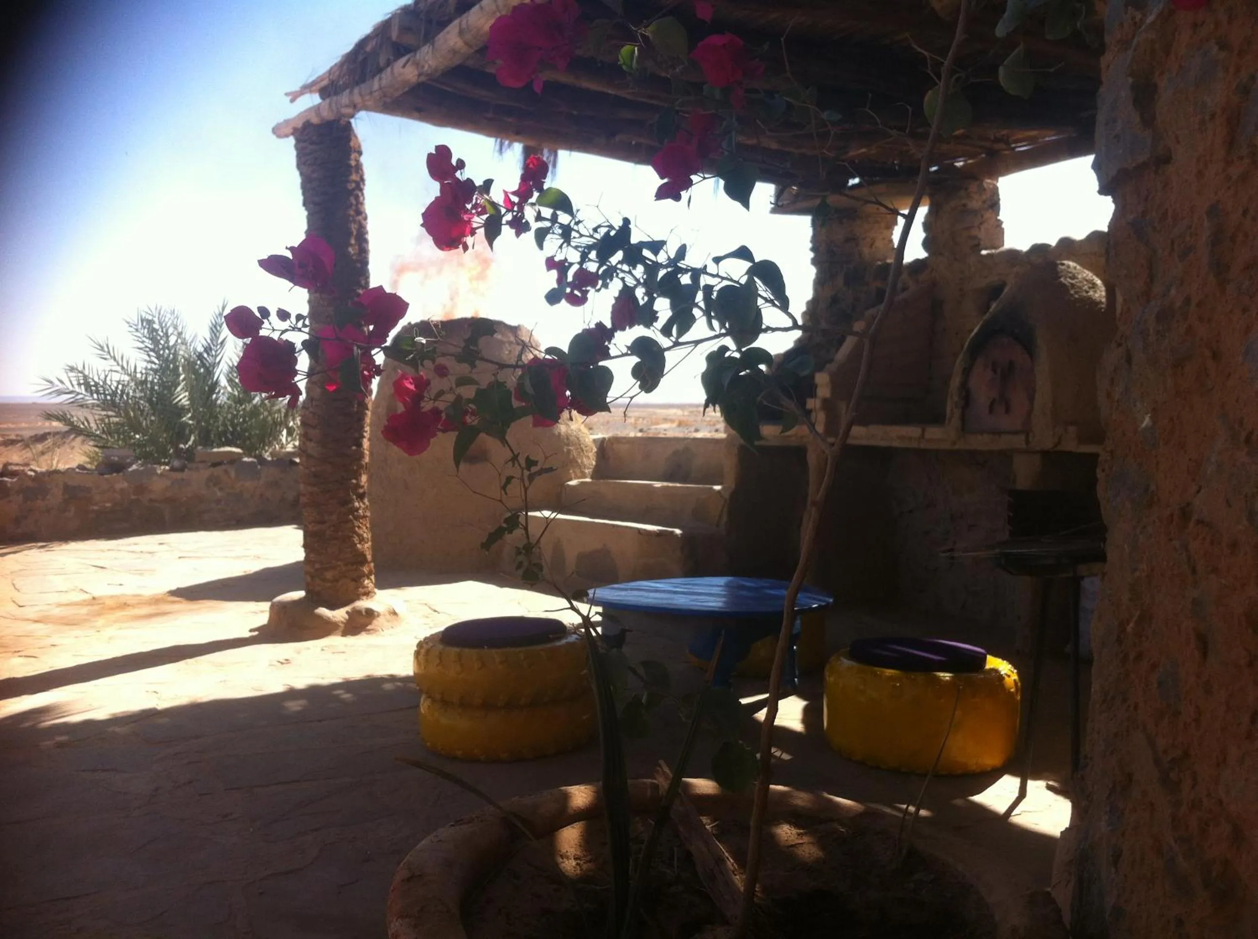 Garden in Maison Boutchrafine