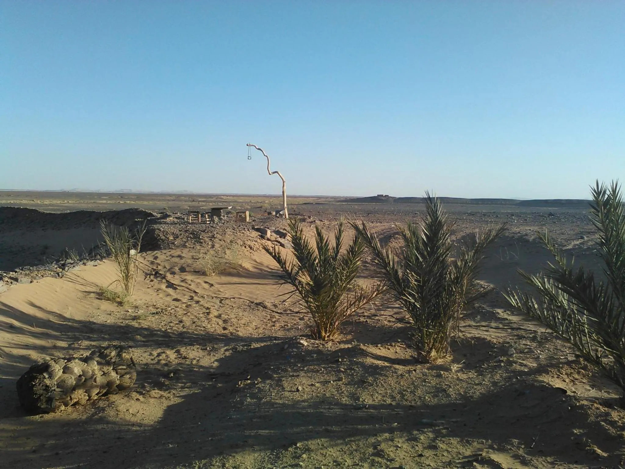 Garden view in Maison Boutchrafine