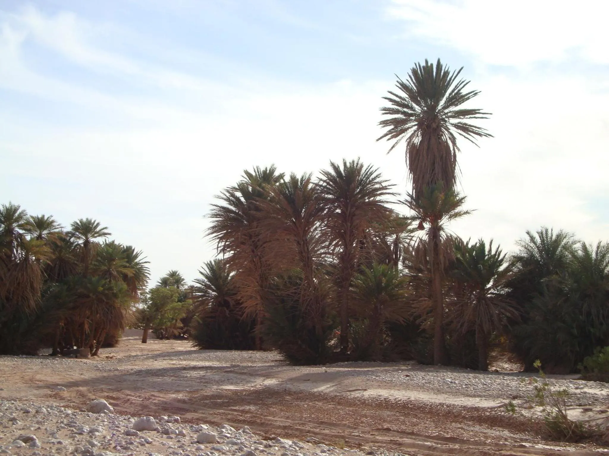 Area and facilities in Maison Boutchrafine