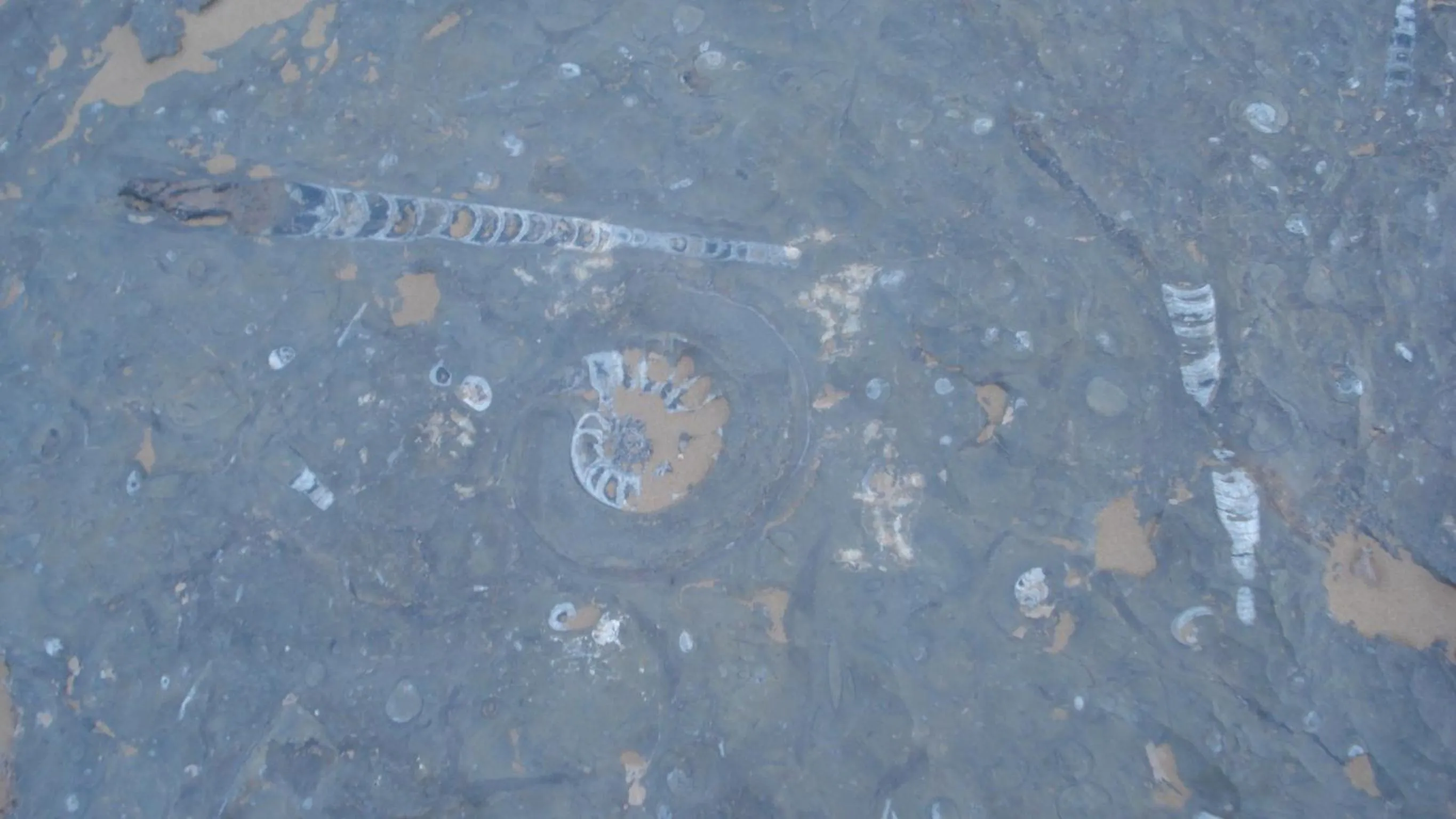 Activities in Maison Boutchrafine