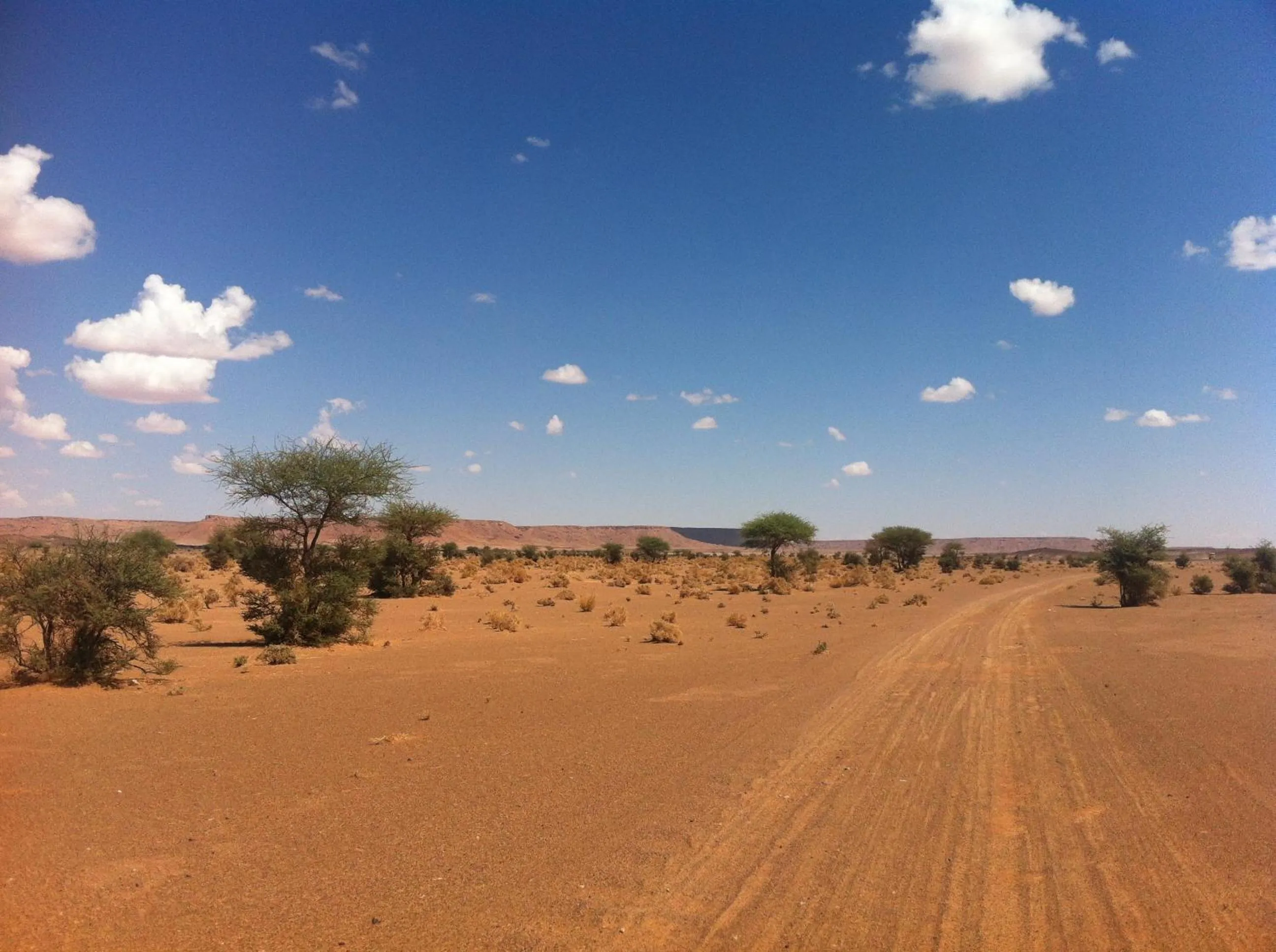 Area and facilities in Maison Boutchrafine