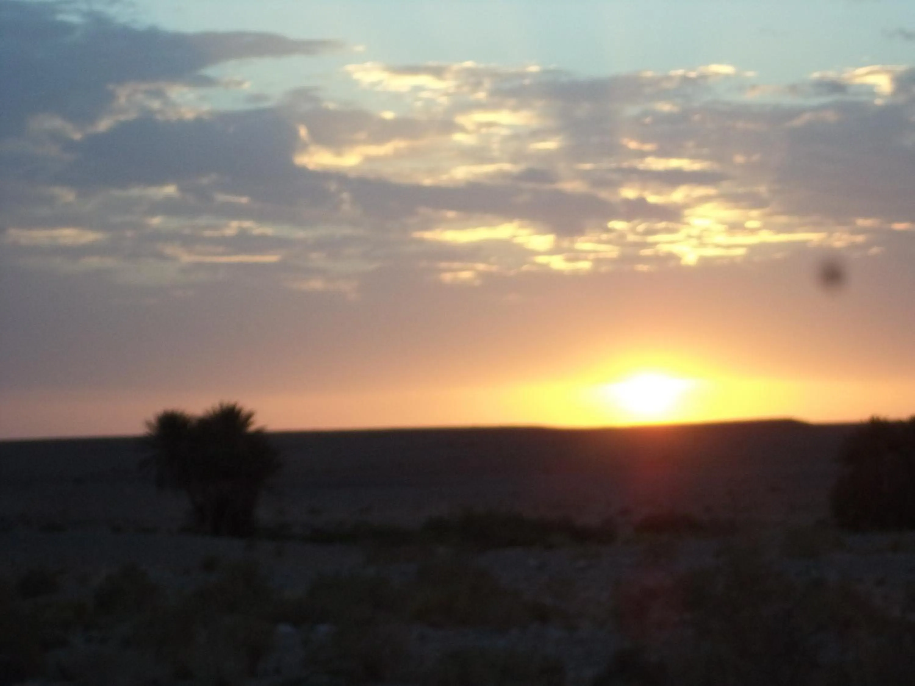 Area and facilities in Maison Boutchrafine