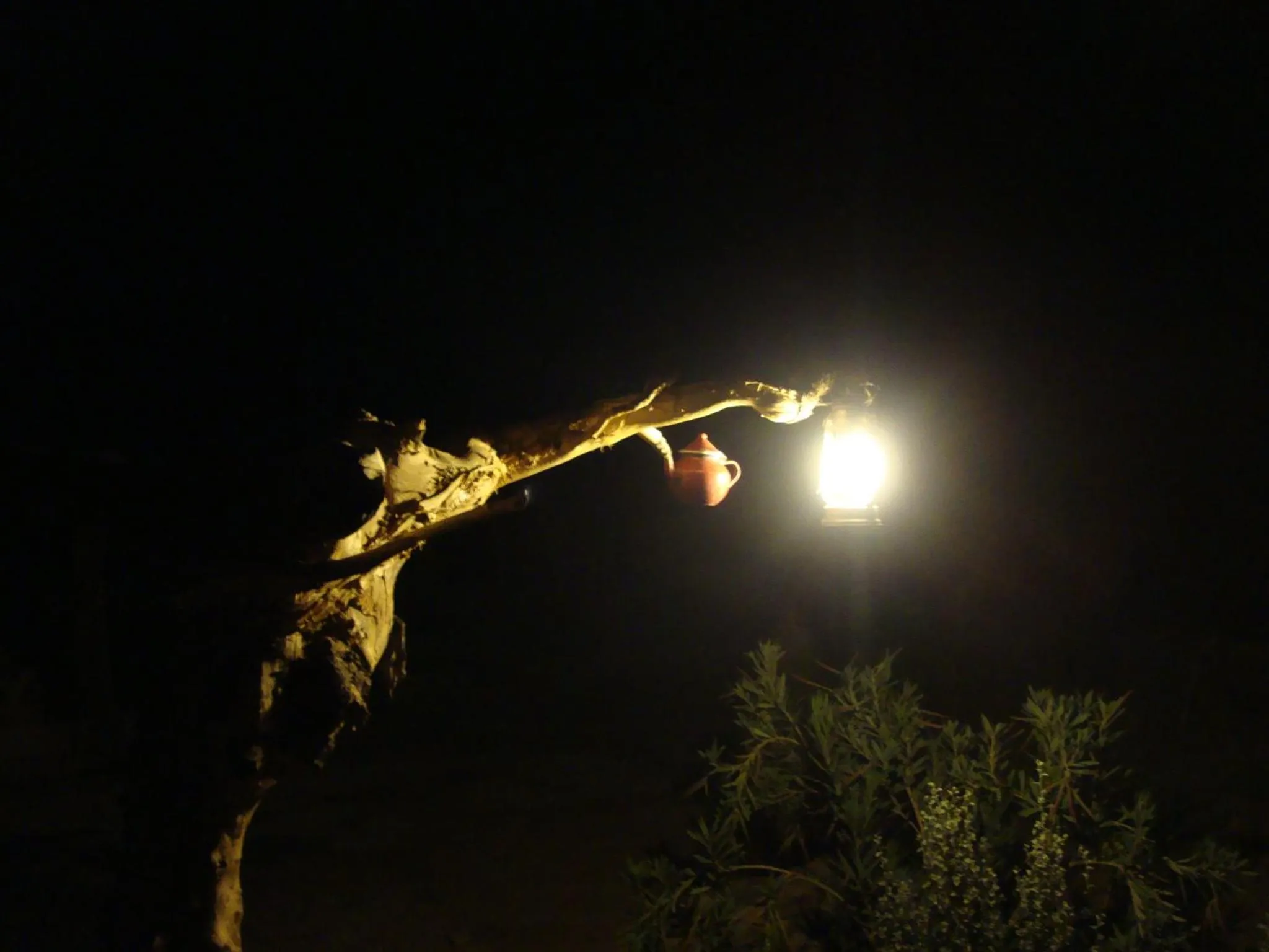 Balcony/Terrace in Maison Boutchrafine