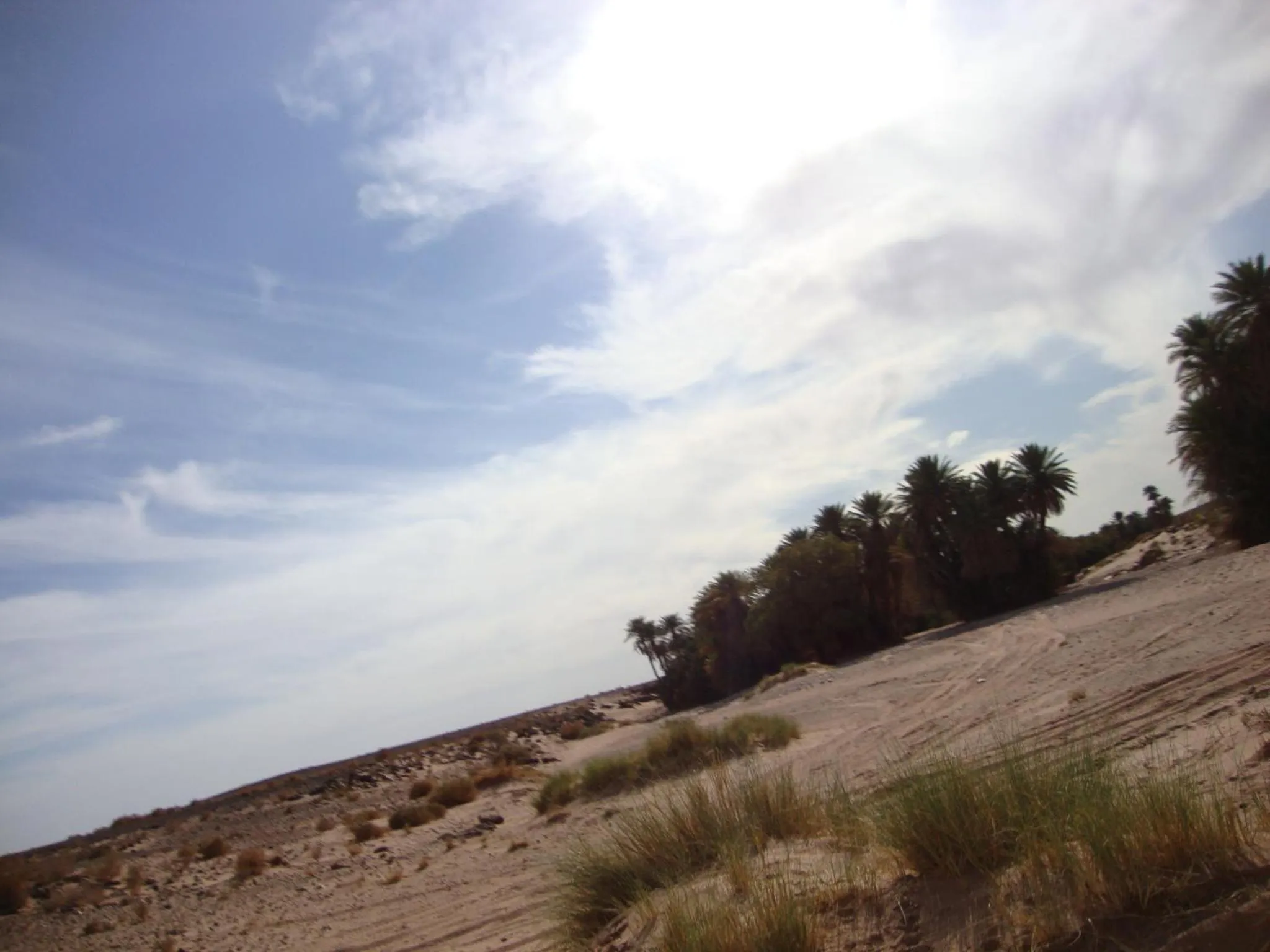 Area and facilities in Maison Boutchrafine