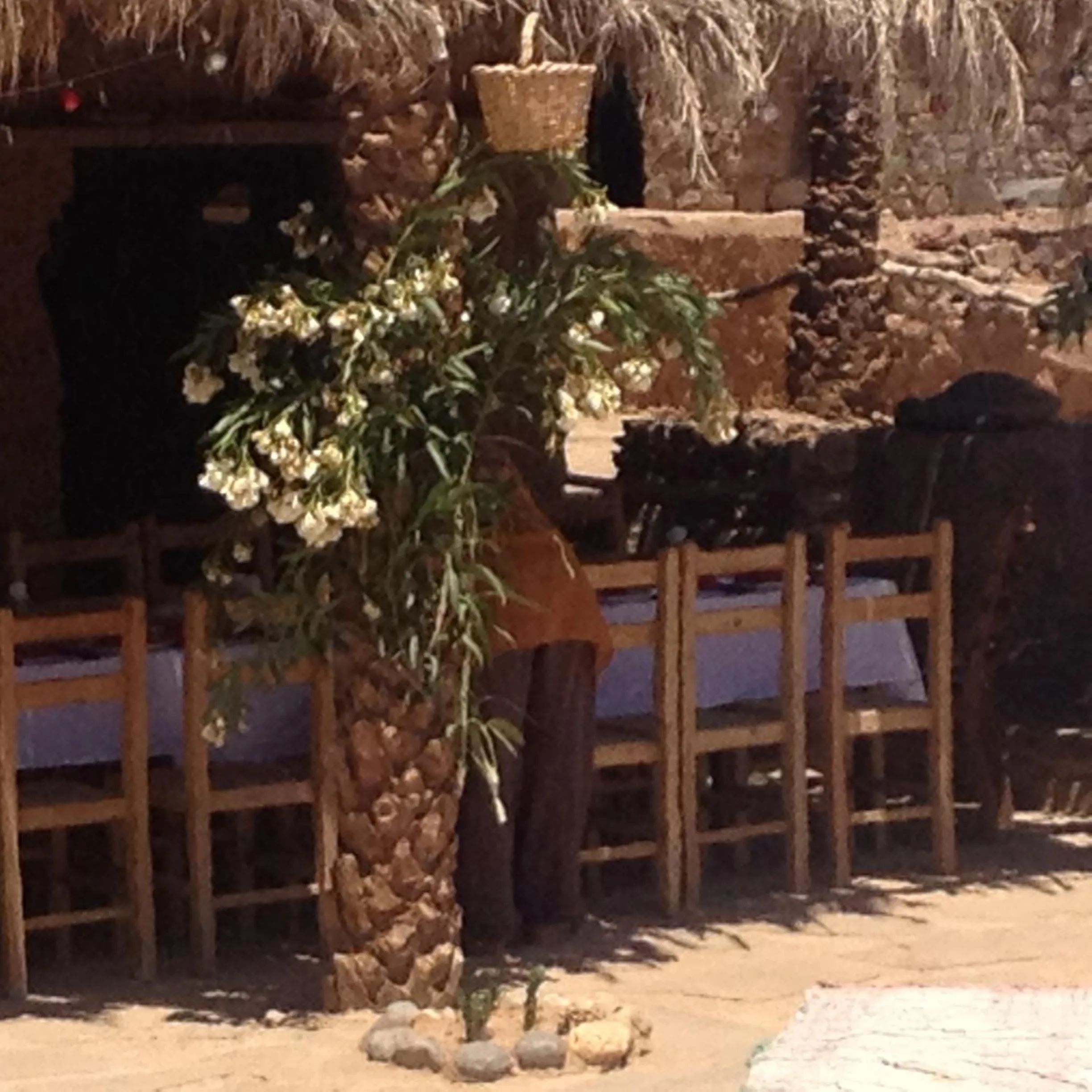 Food close-up in Maison Boutchrafine