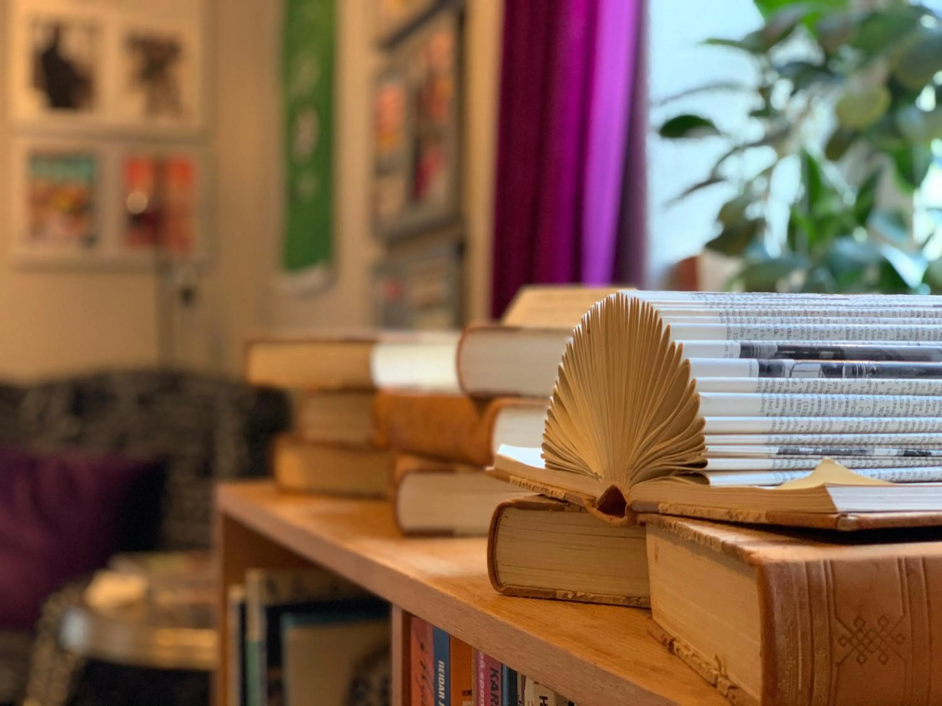 Library in Hotel Wictoria