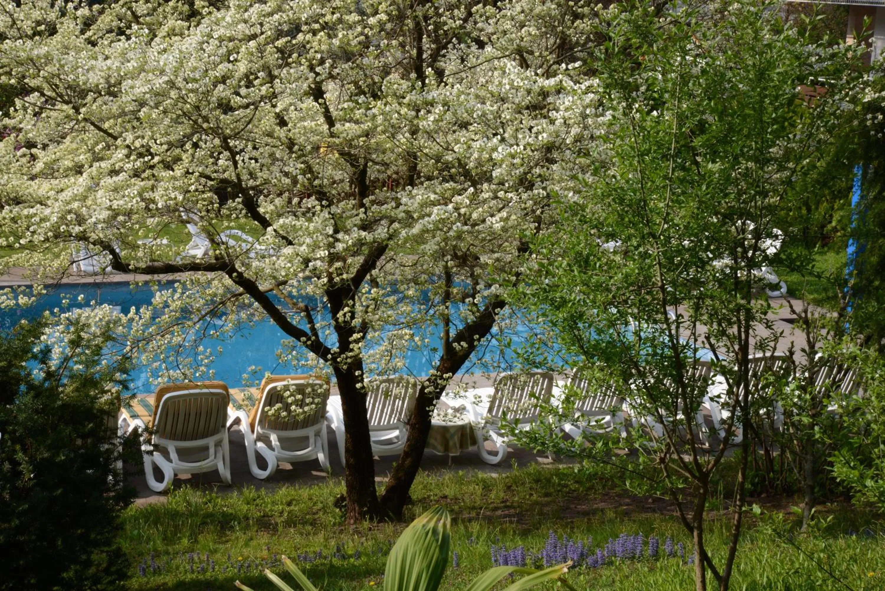 Spring in Hotel Tannerhof