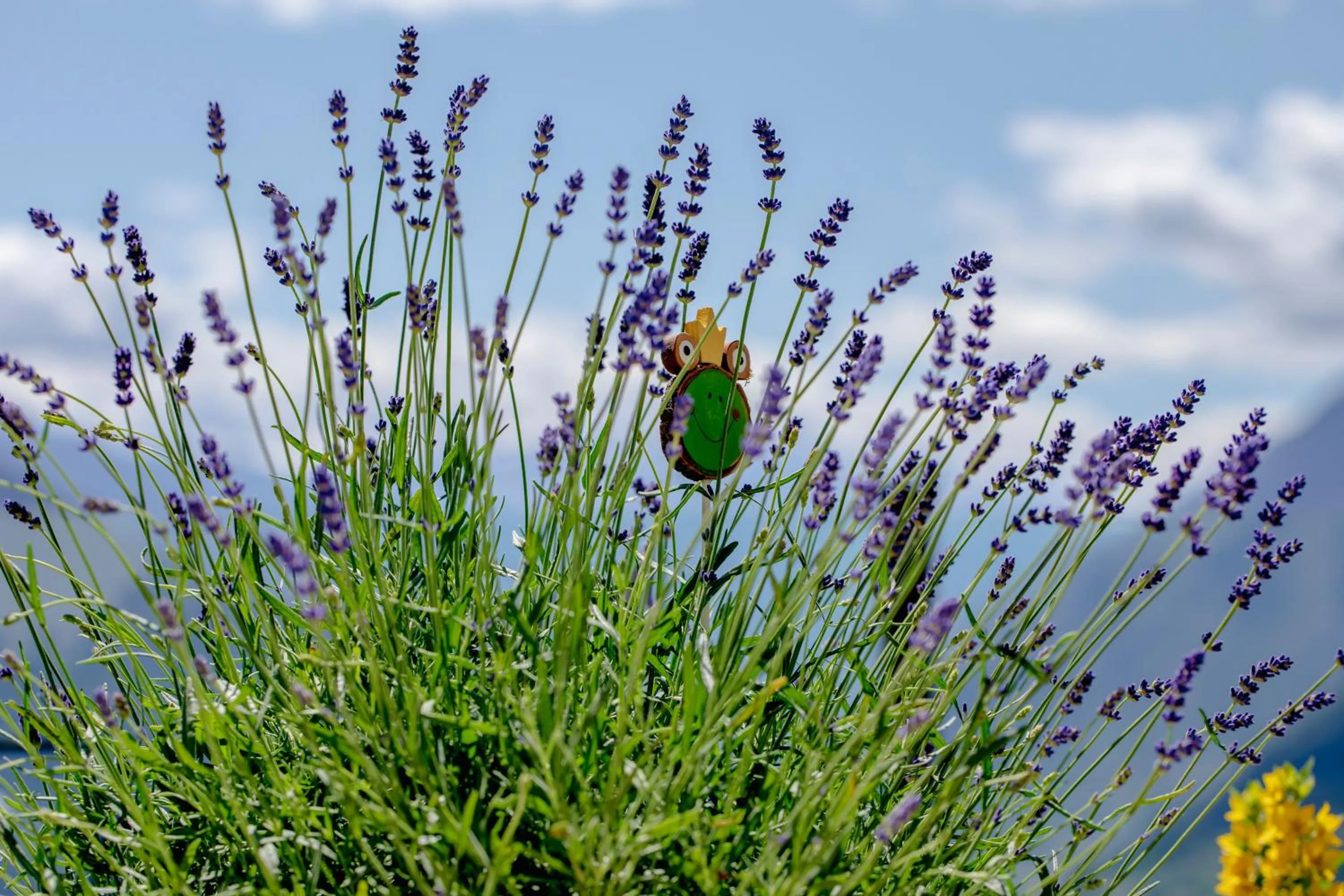 Balcony/Terrace in Mountain Village Hasenegg