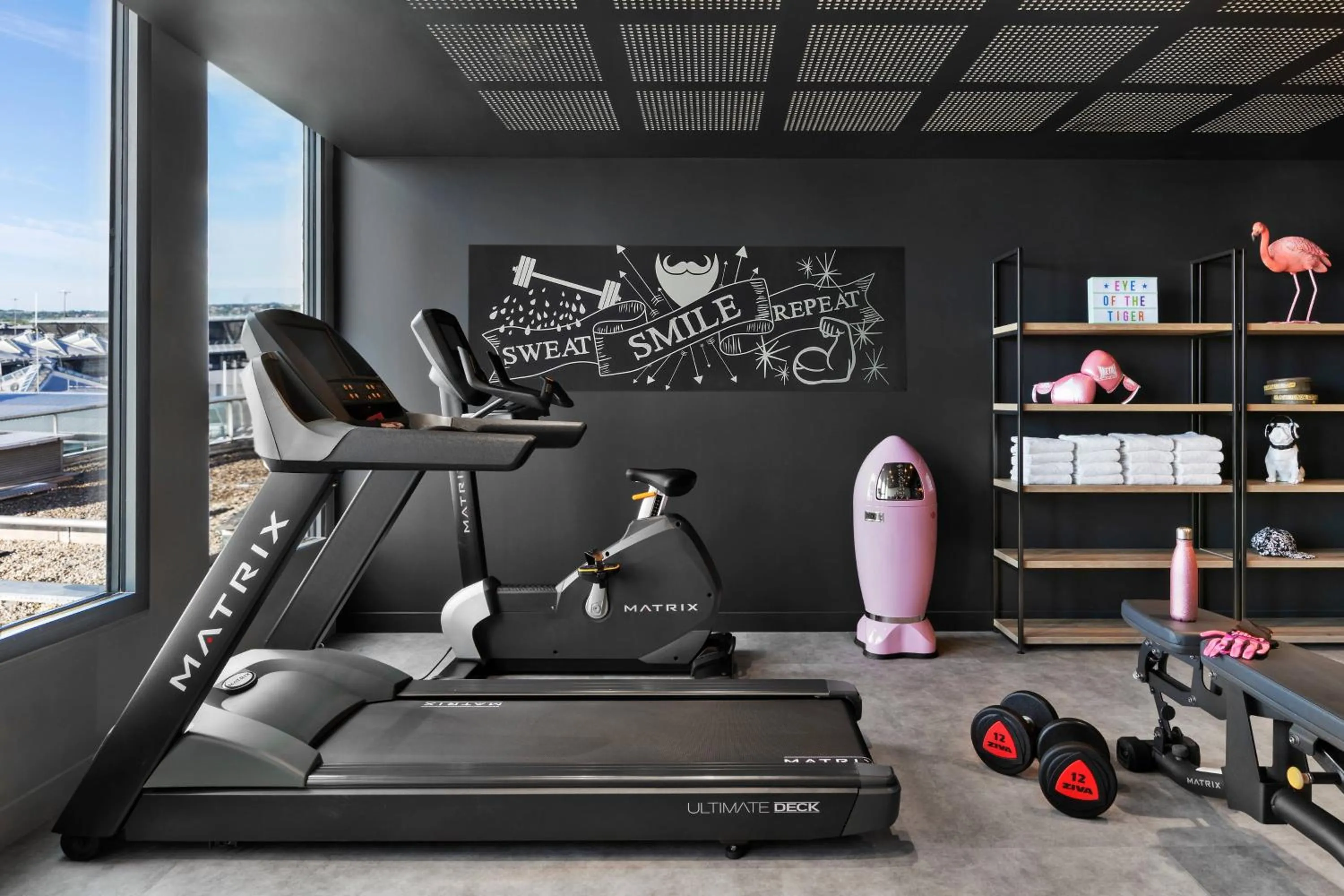 Fitness centre/facilities in Moxy Lyon Airport