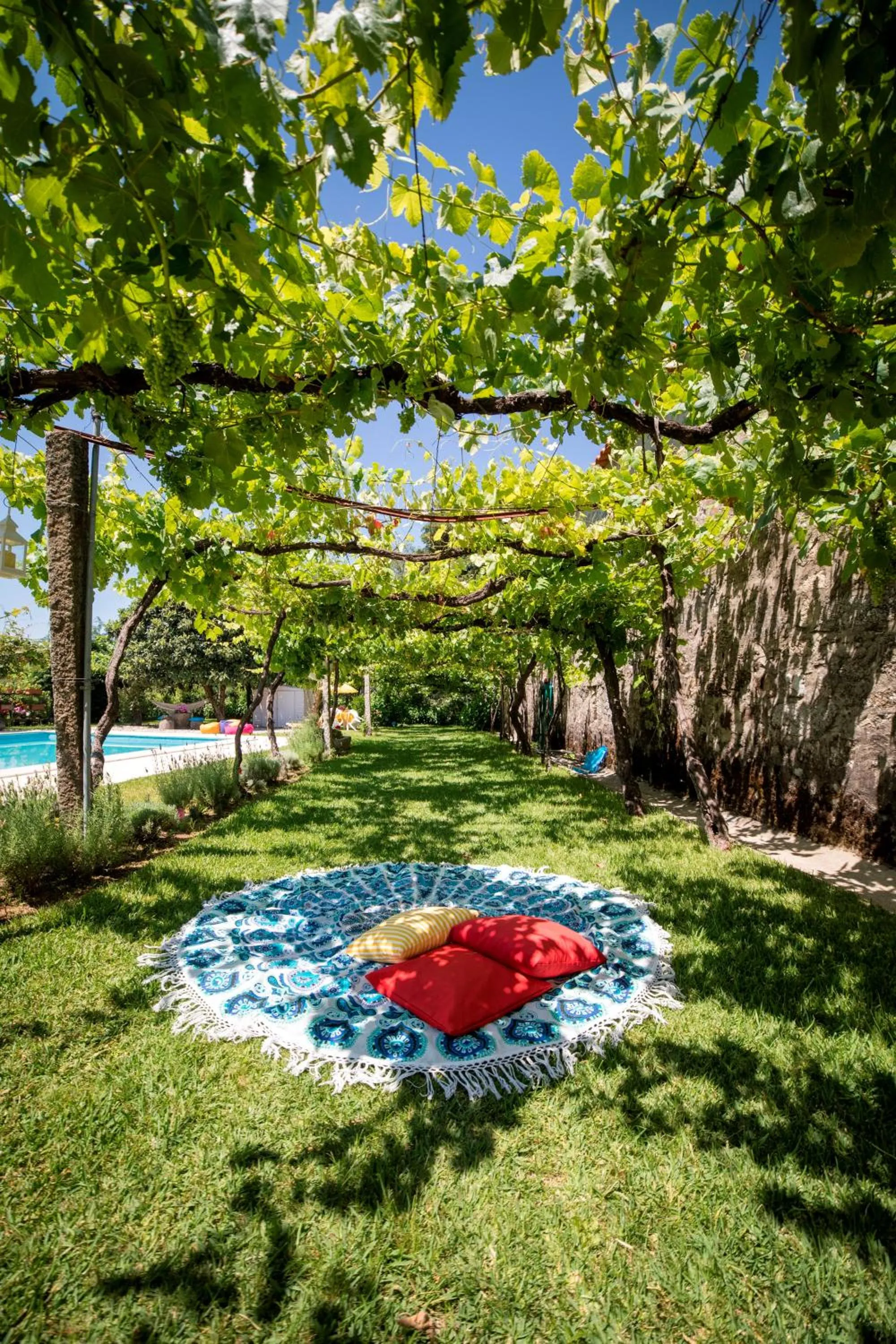 Garden in Quinta de Santa Baia