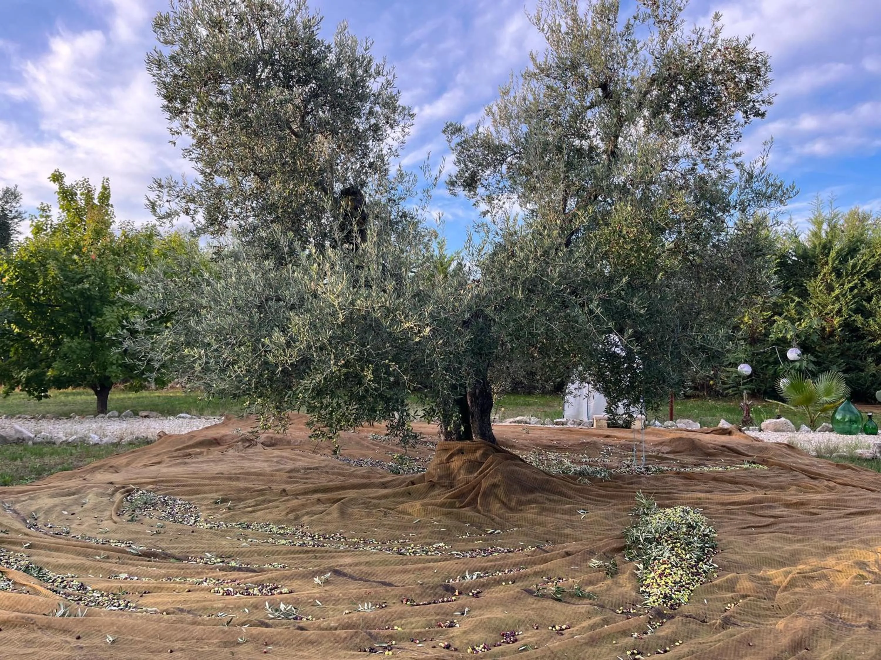 B&B Villa Mediterranea with private parking