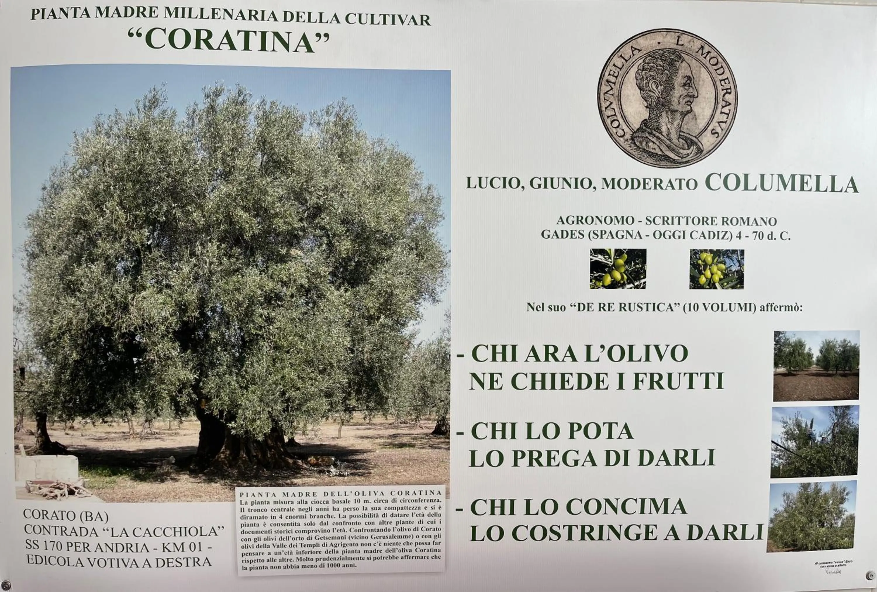 B&B Villa Mediterranea with private parking