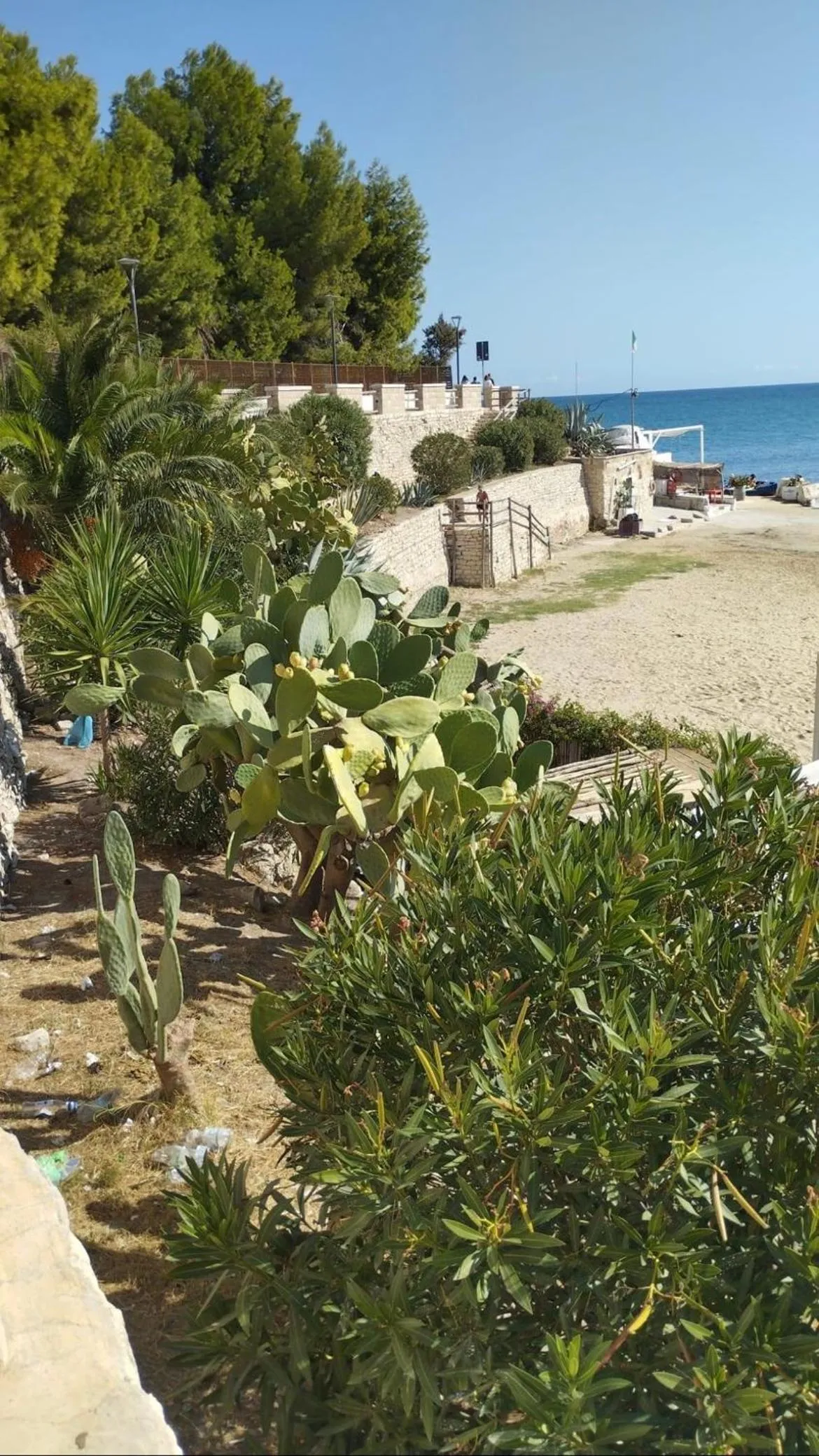 B&B Villa Mediterranea with private parking