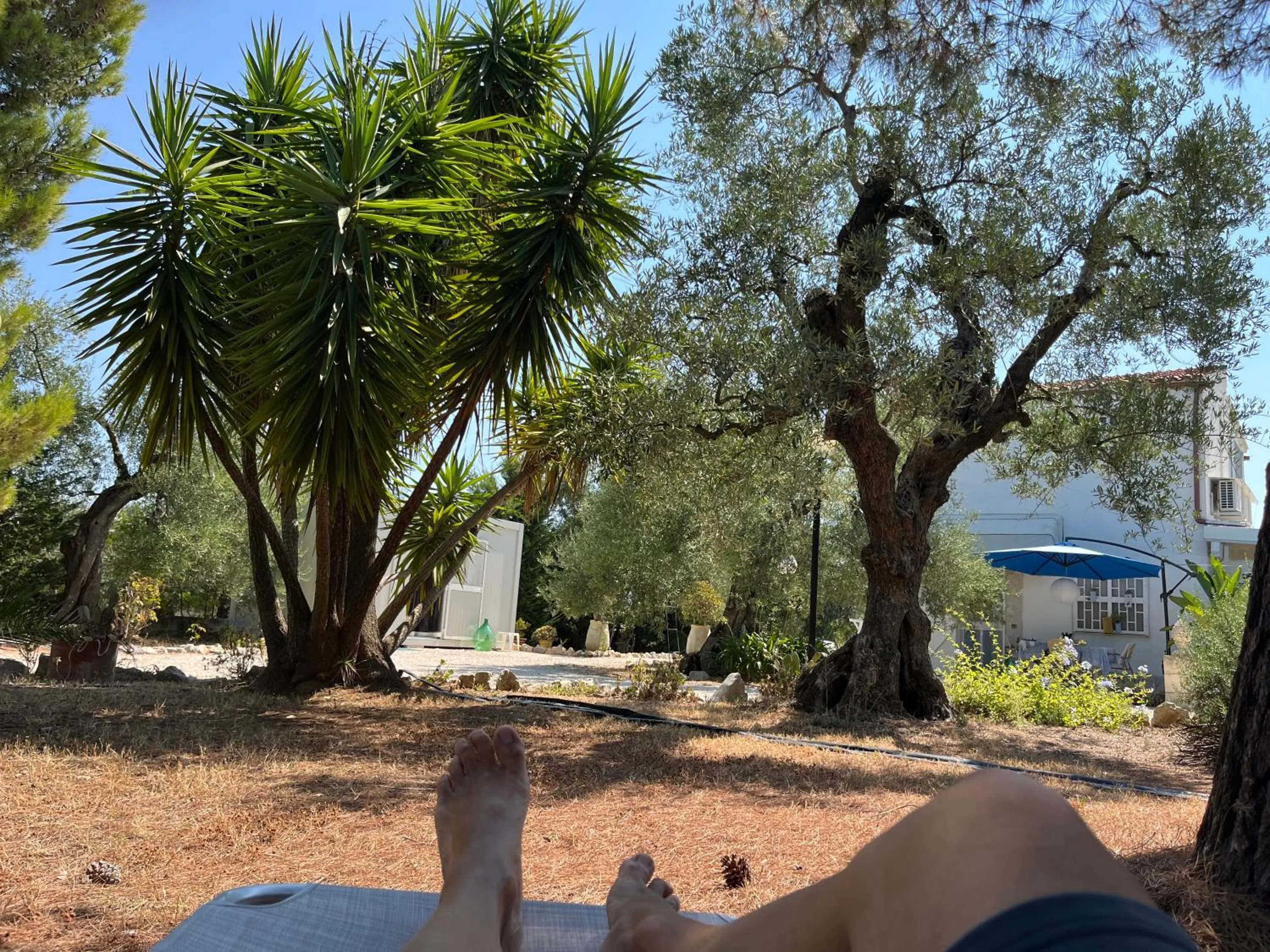 B&B Villa Mediterranea with private parking