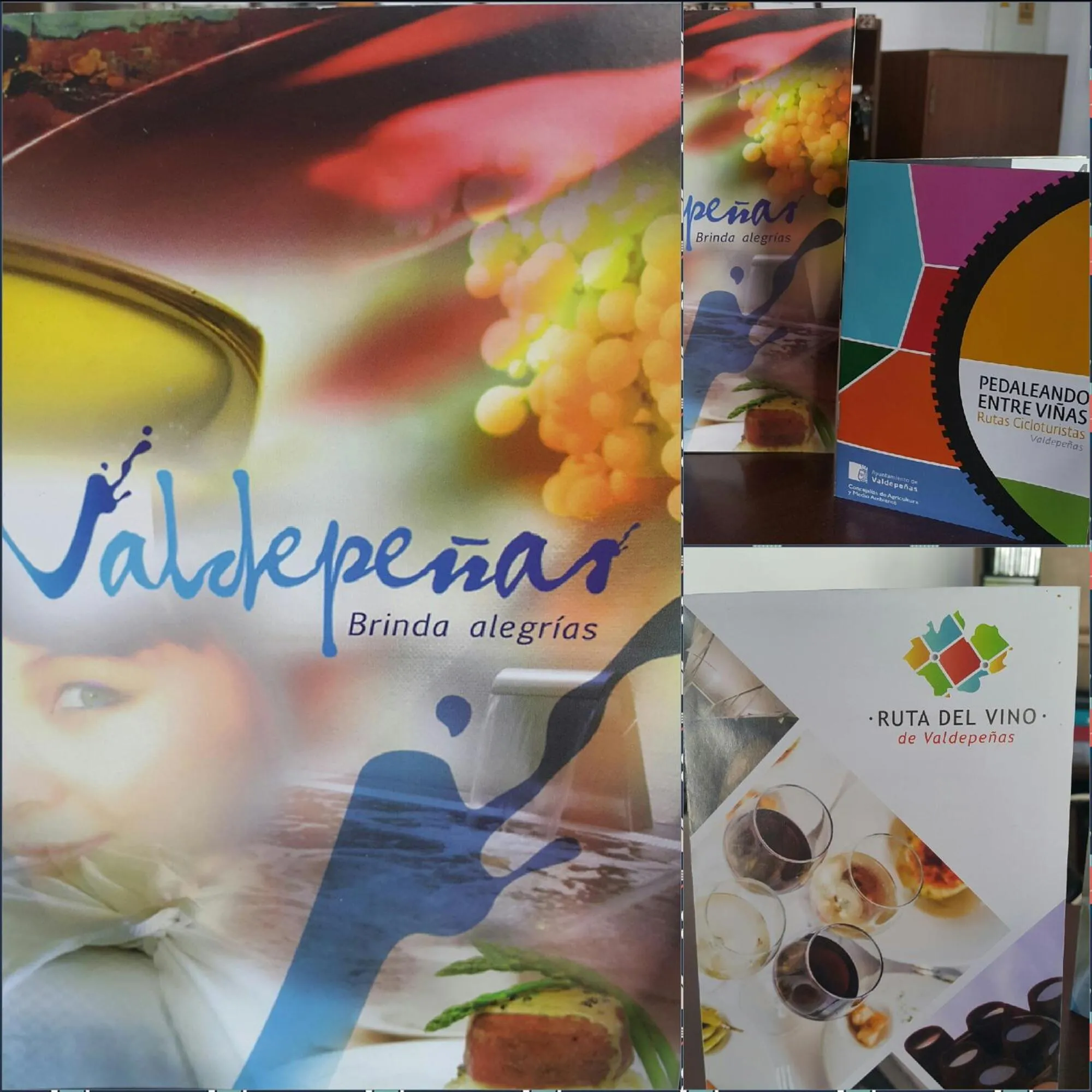 Nuevo Hotel Vista Alegre