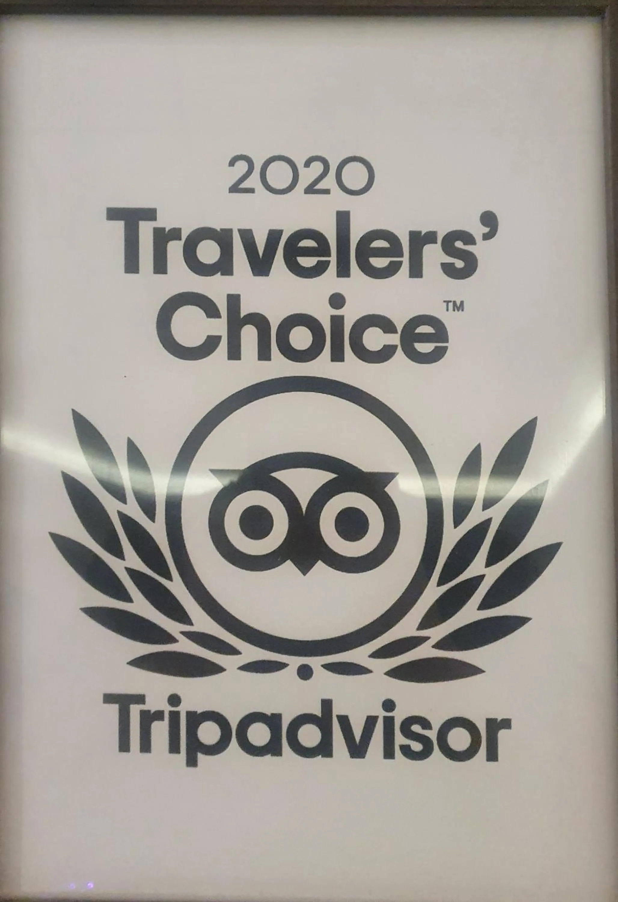 Nuevo Hotel Vista Alegre