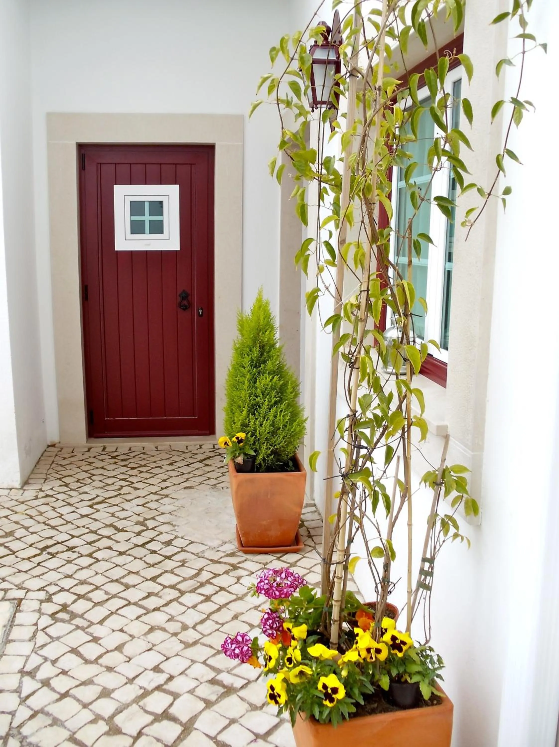 Garden in Casa do Largo - Golegã - Turismo de Habitação