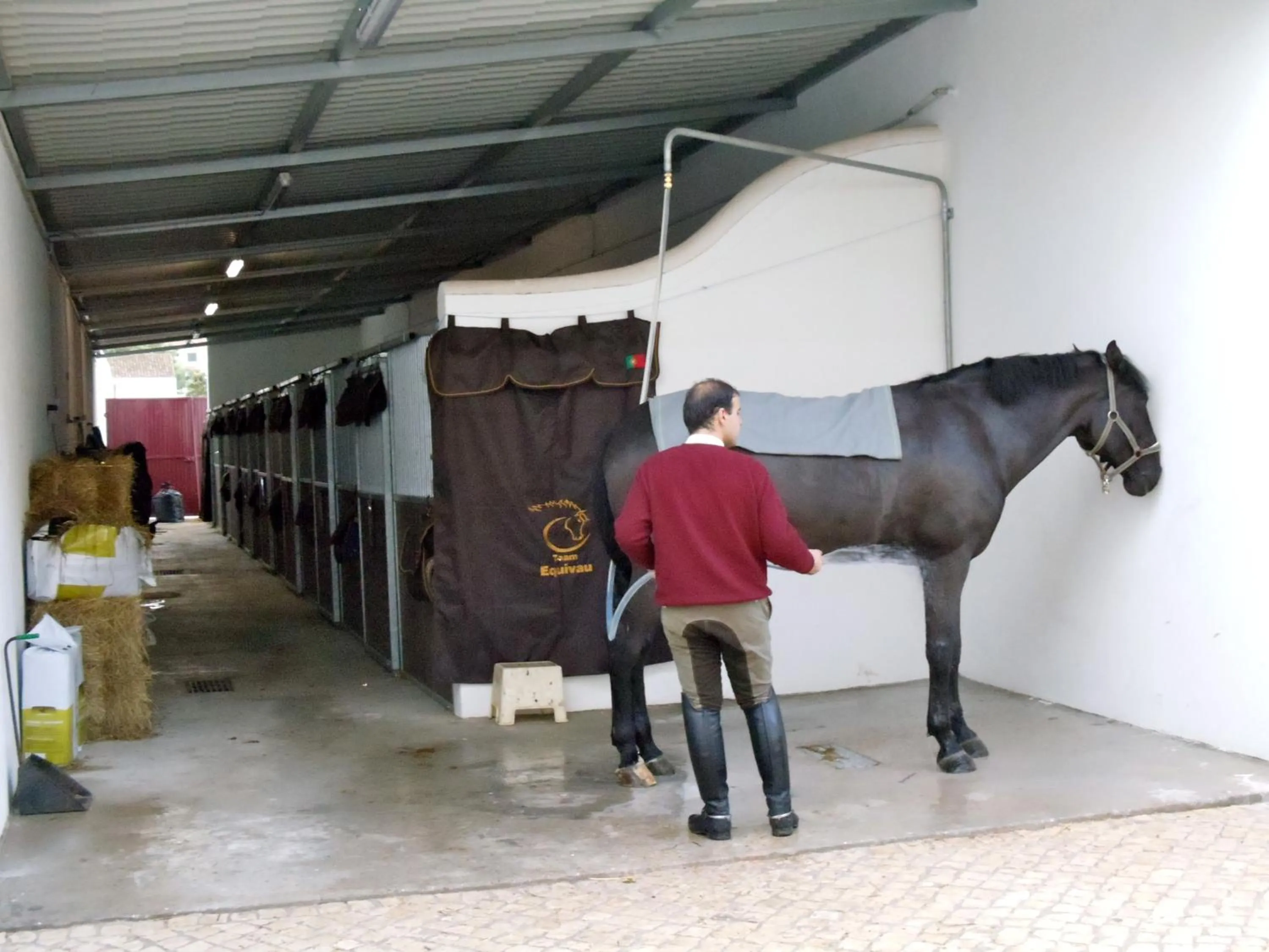 Horse-riding in Casa do Largo - Golegã - Turismo de Habitação