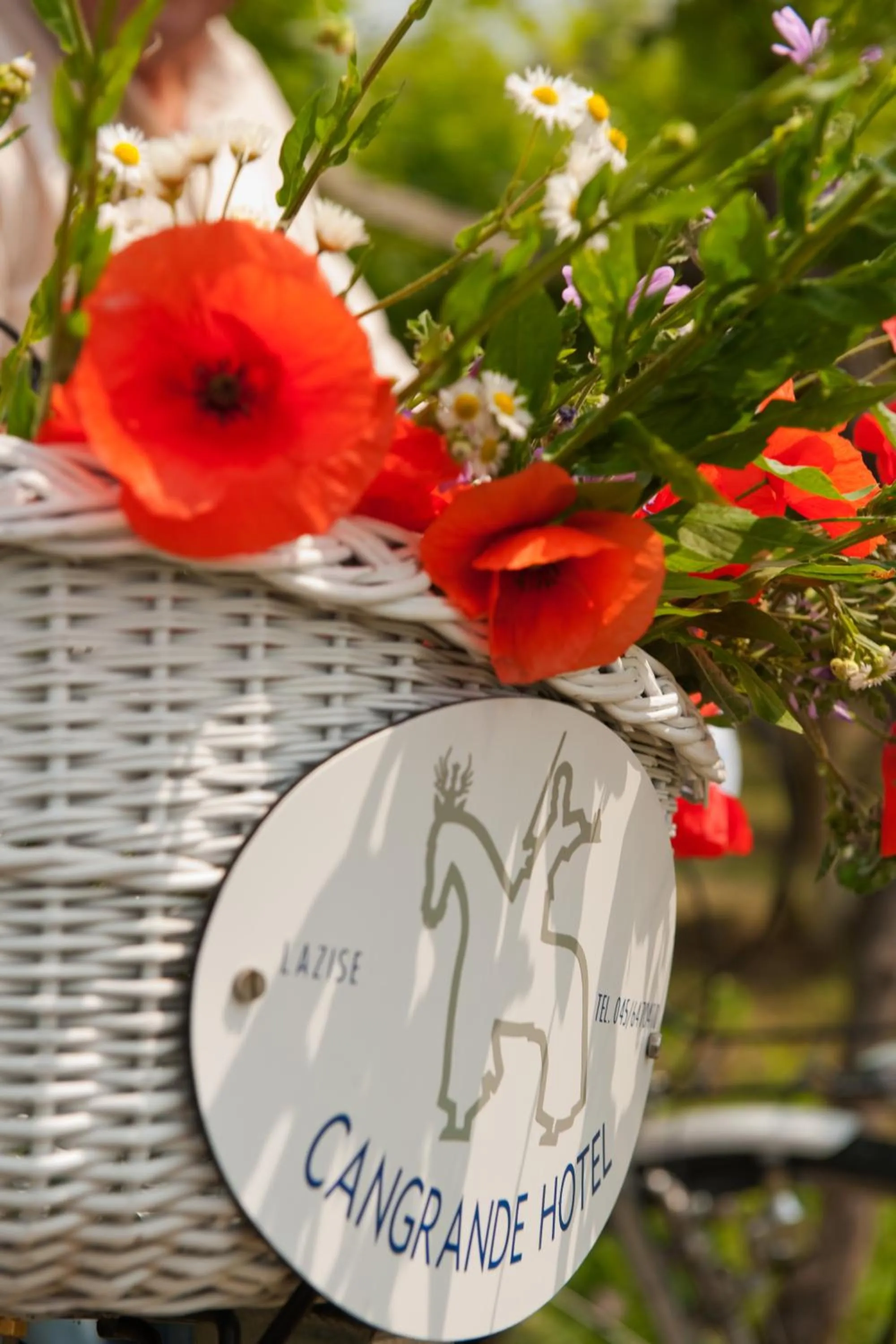 Decorative detail in Cangrande Hotel