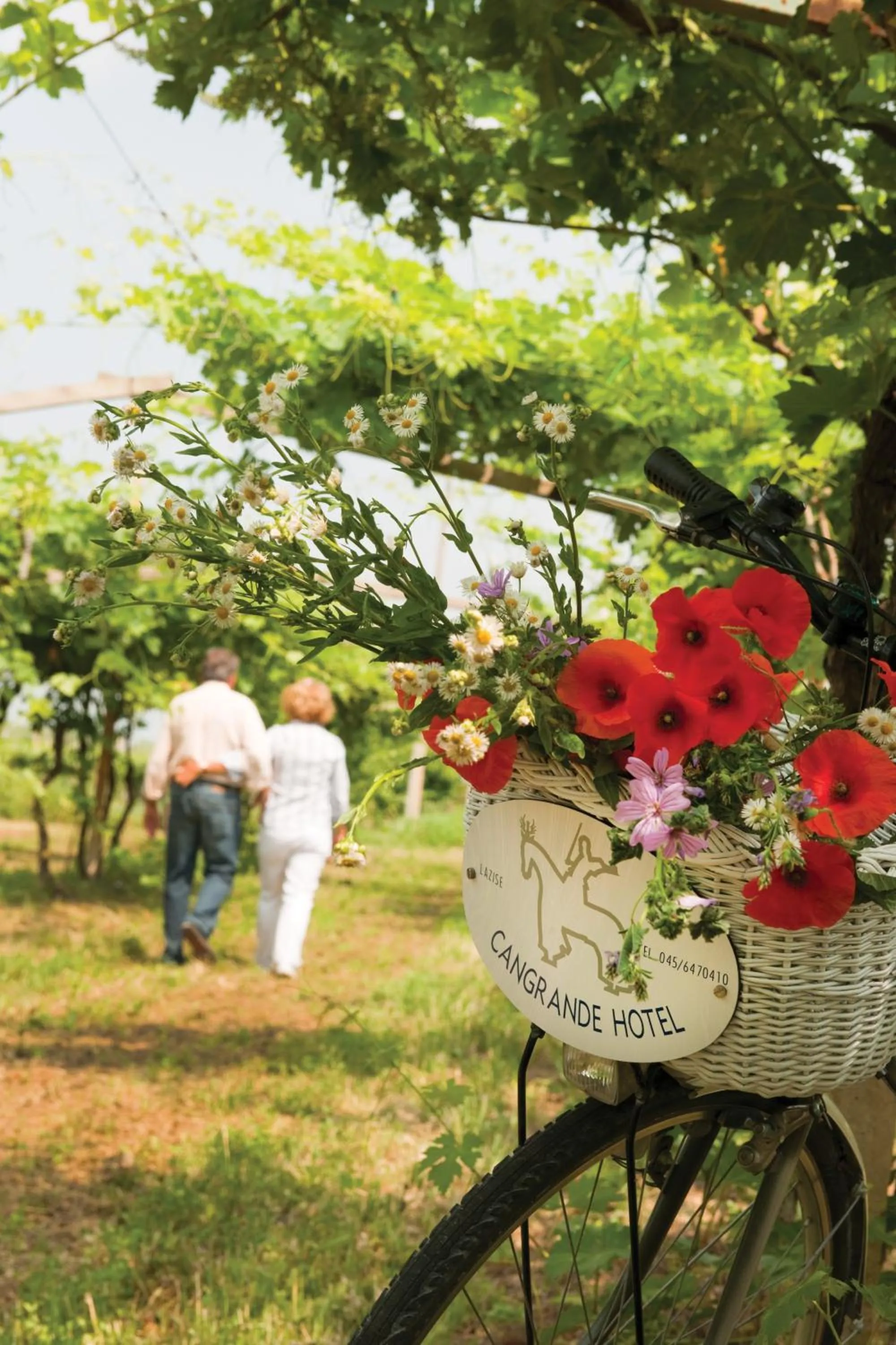 Day in Cangrande Hotel