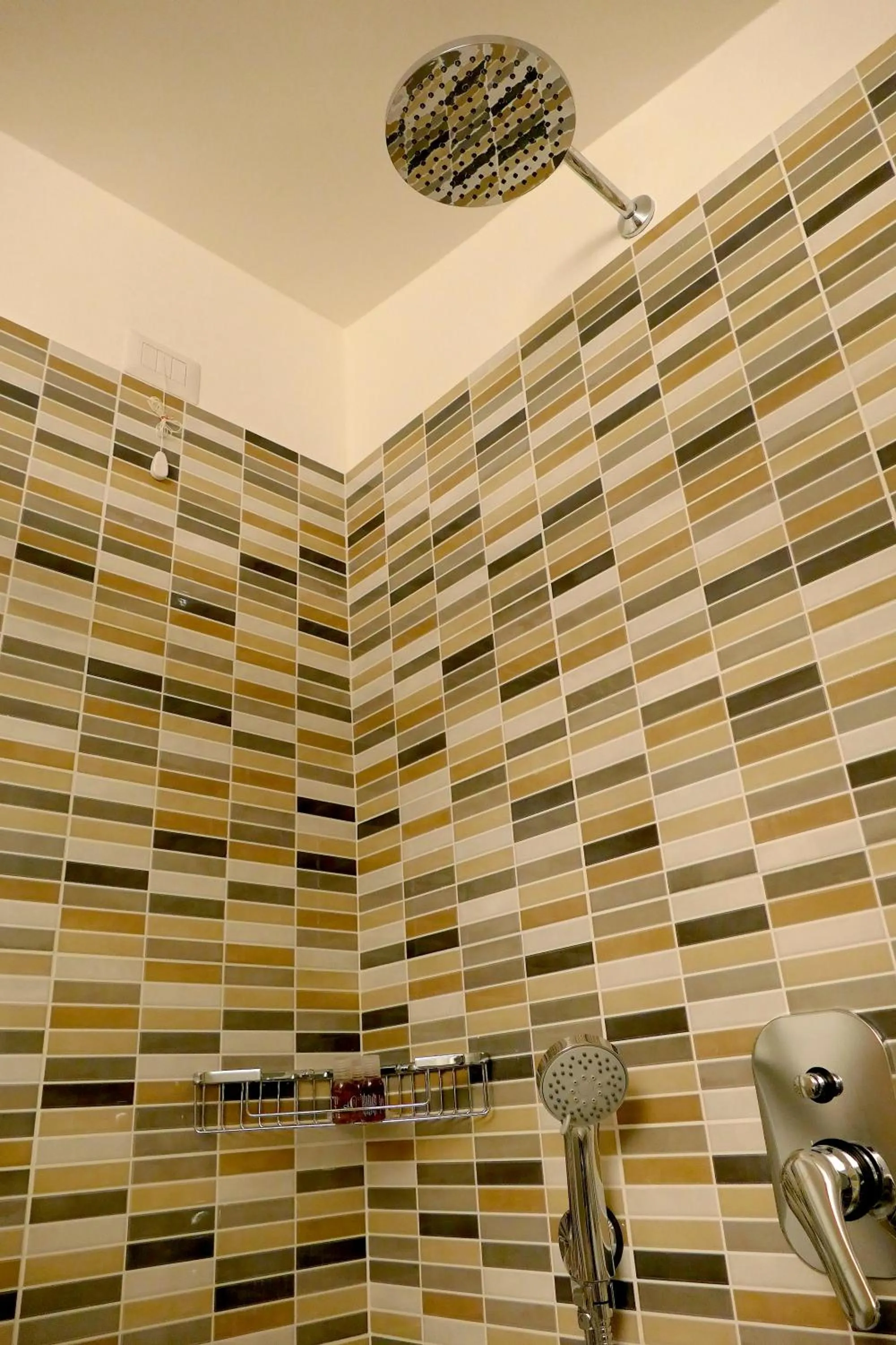 Shower in Hotel Désirée