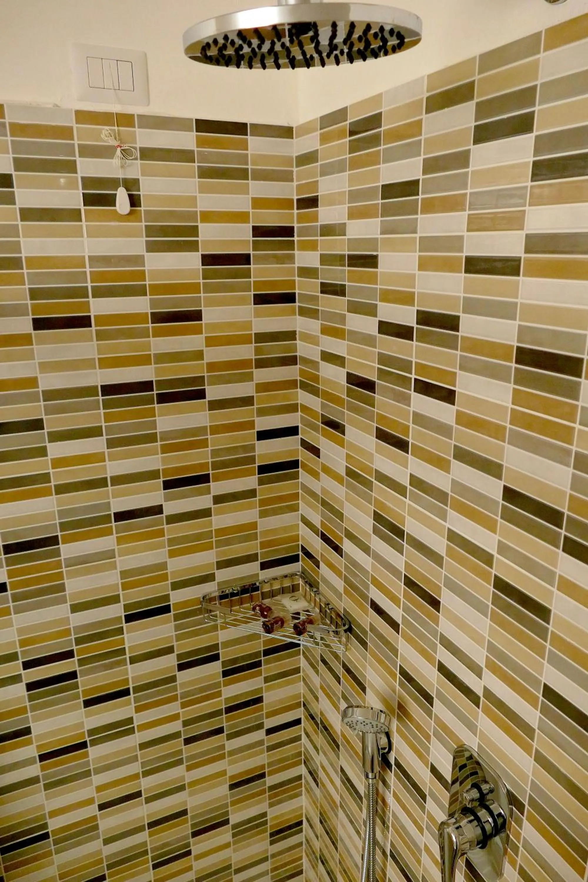Shower in Hotel Désirée