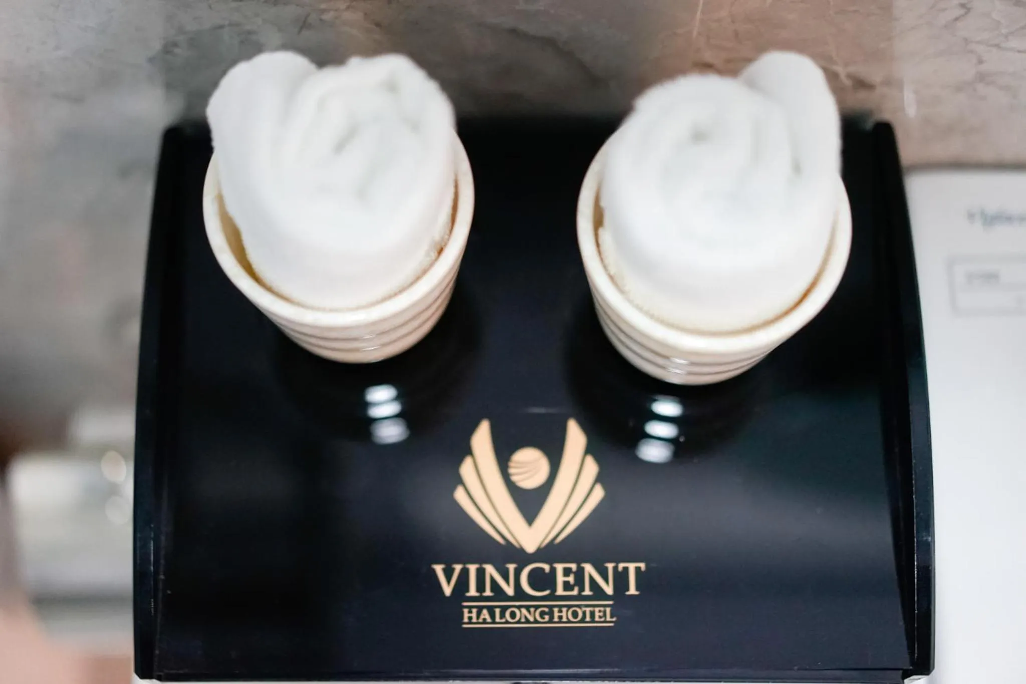 Decorative detail in Vincent Halong Hotel