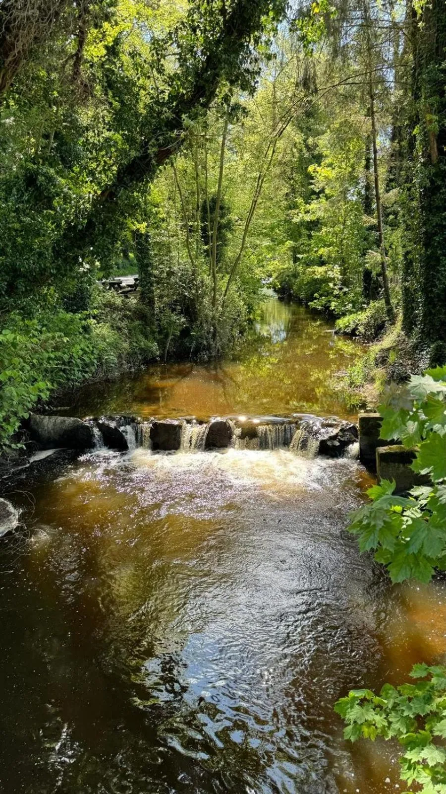 Basil Sheils B&B Accommodation Armagh