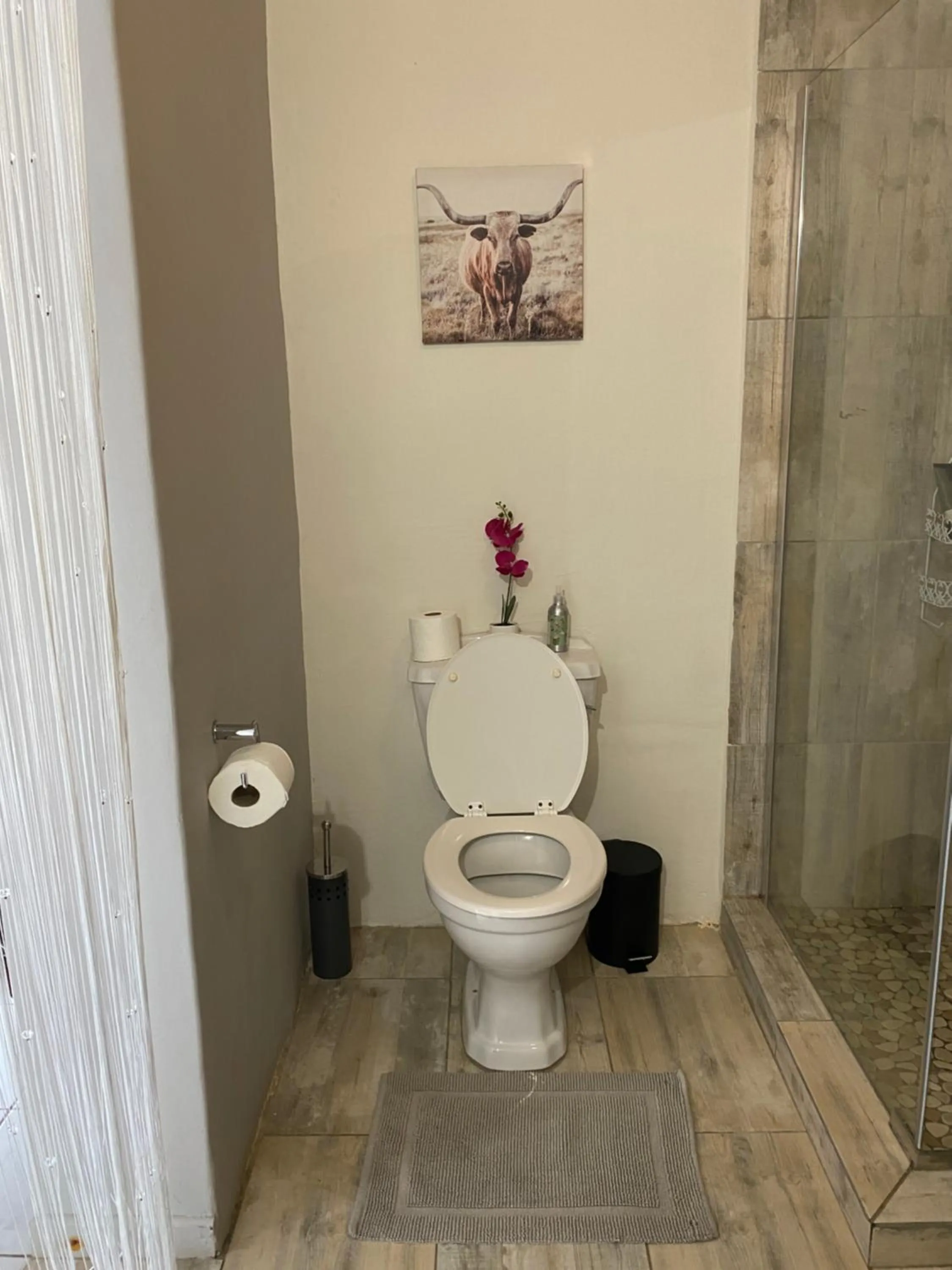 Toilet in AfricaLove Guest Condo