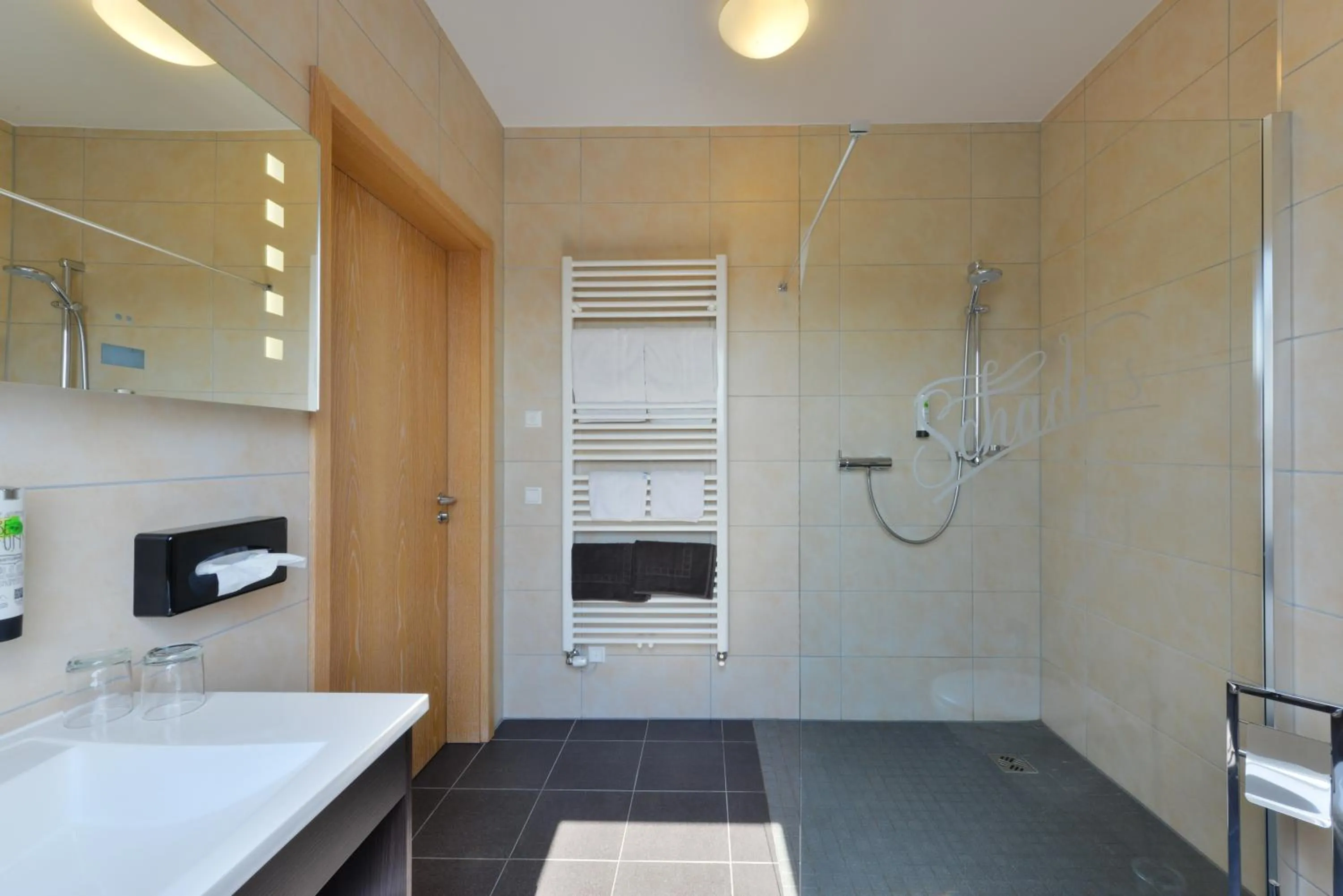 Bathroom in Schade's Wohlfühlhotel