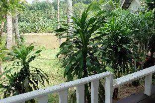 Koh kood Neverland beach resort