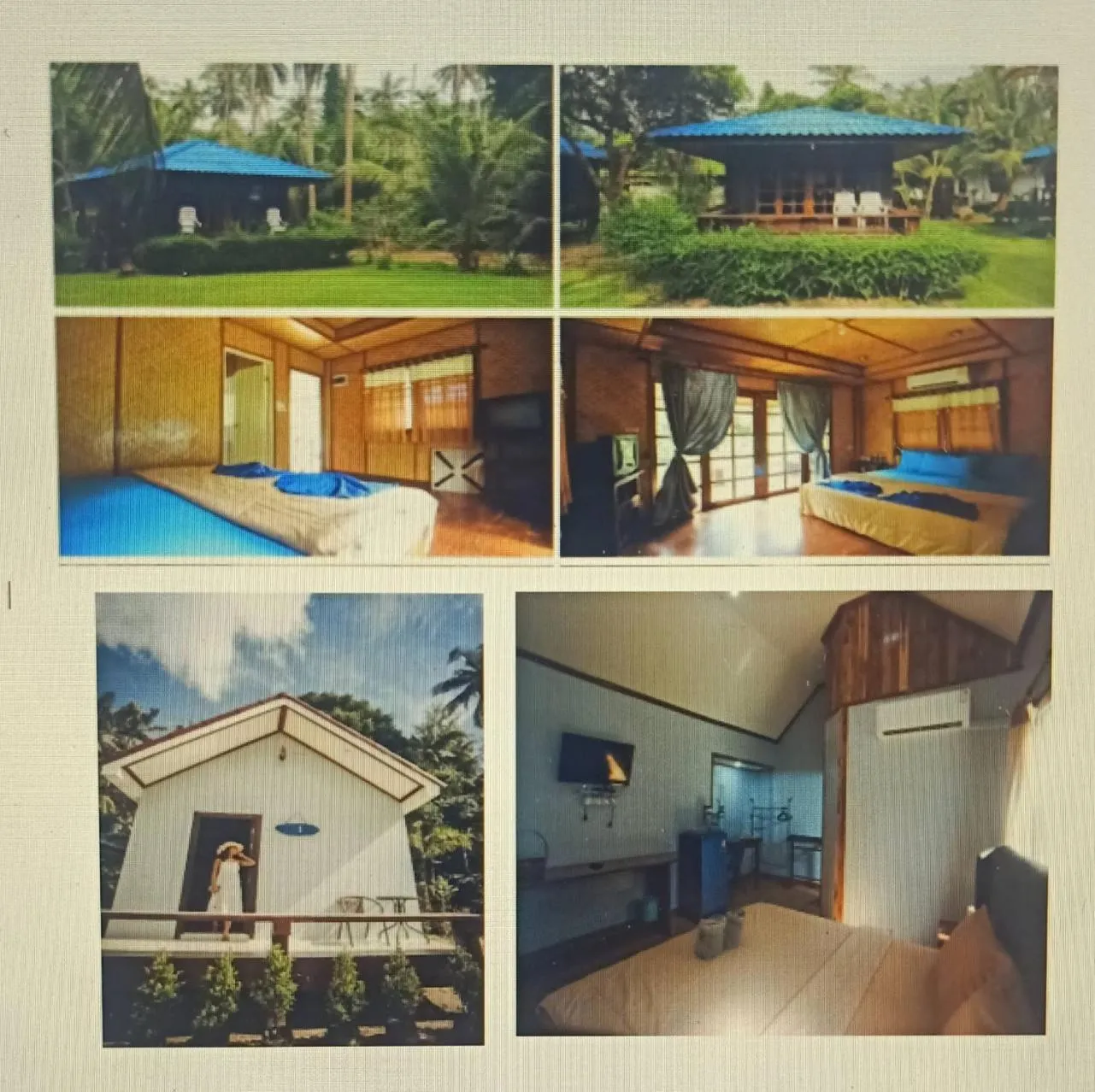 Koh kood Neverland beach resort