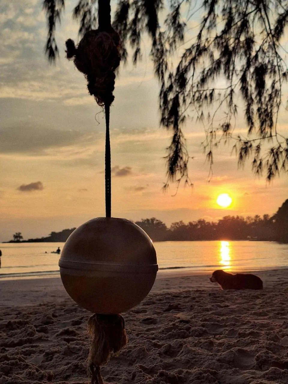 Koh kood Neverland beach resort