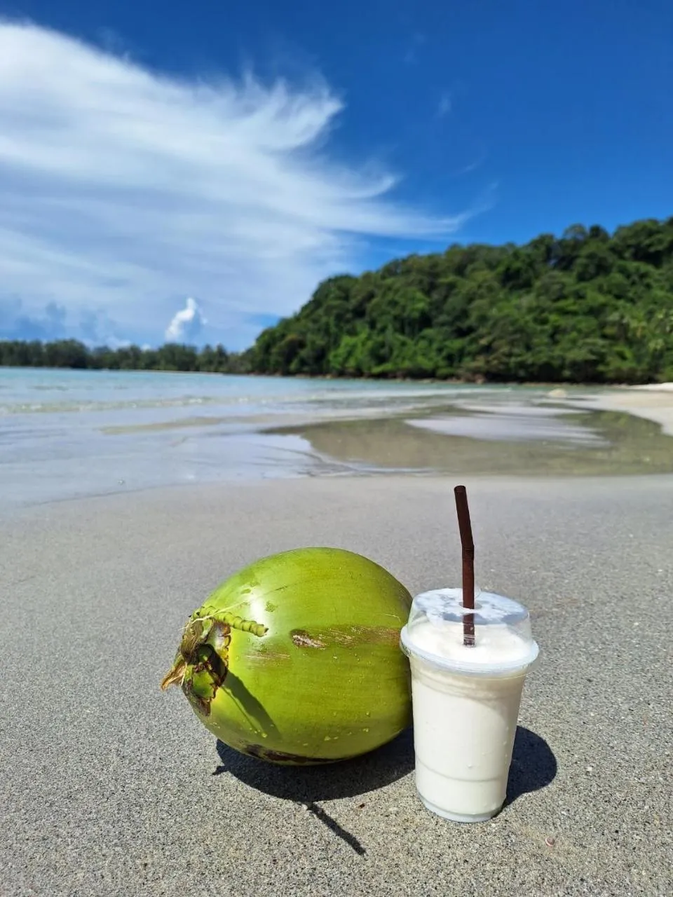 Koh kood Neverland beach resort