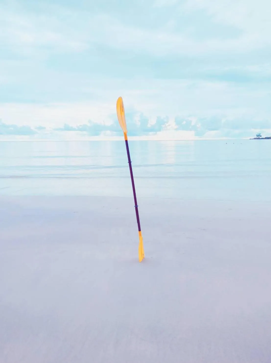 Koh kood Neverland beach resort