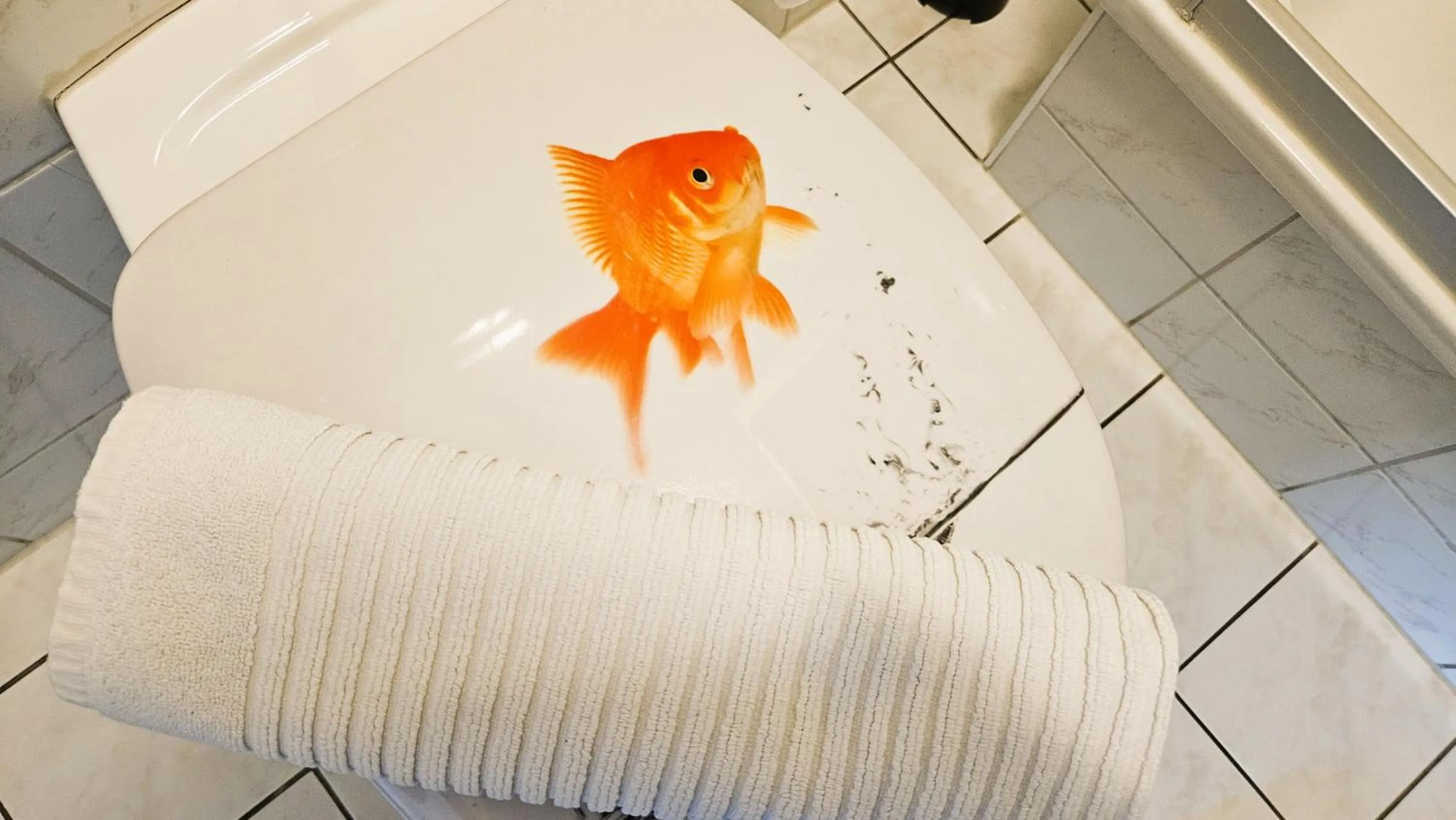 Hotel Dorfkrug Büsum