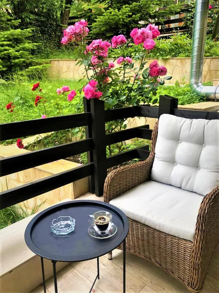 Balcony/Terrace in Casa Varful Cu Dor