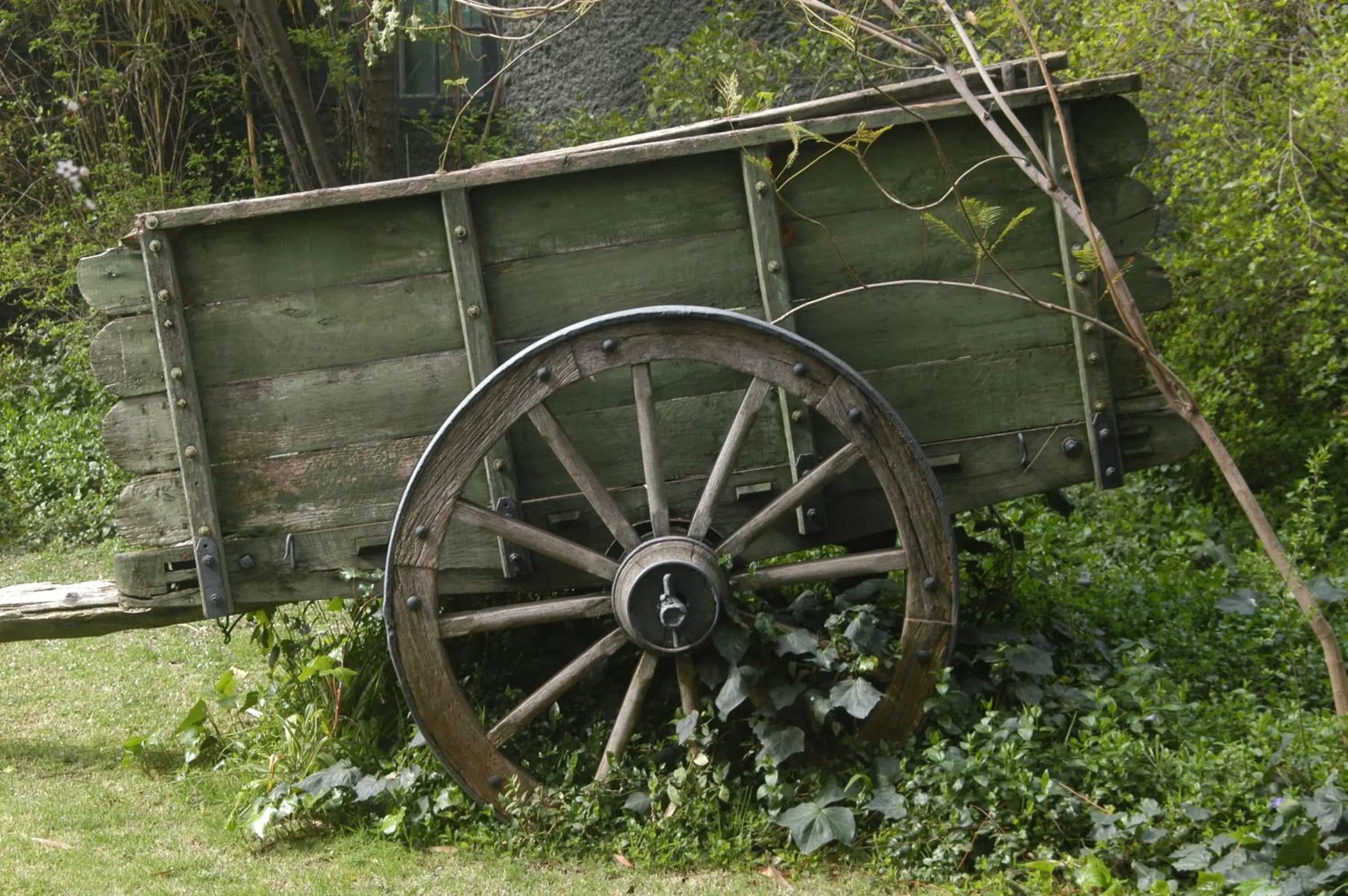 Decorative detail in Hotel Acacias de Vitacura