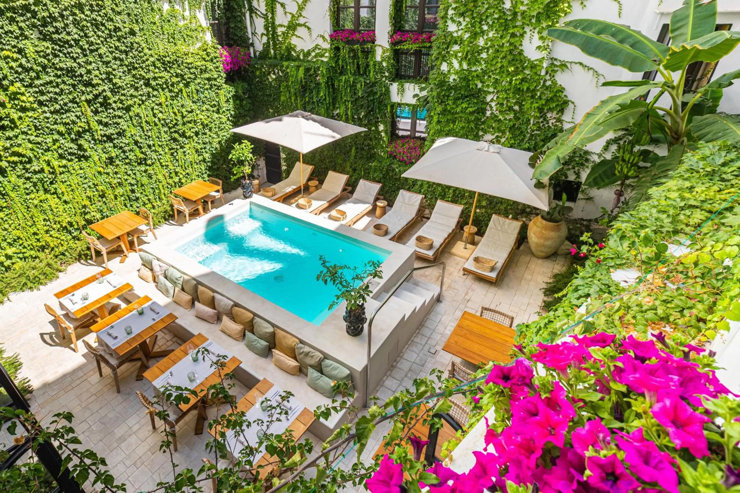 Garden in Casa Nostra Luxury Suites & Spa