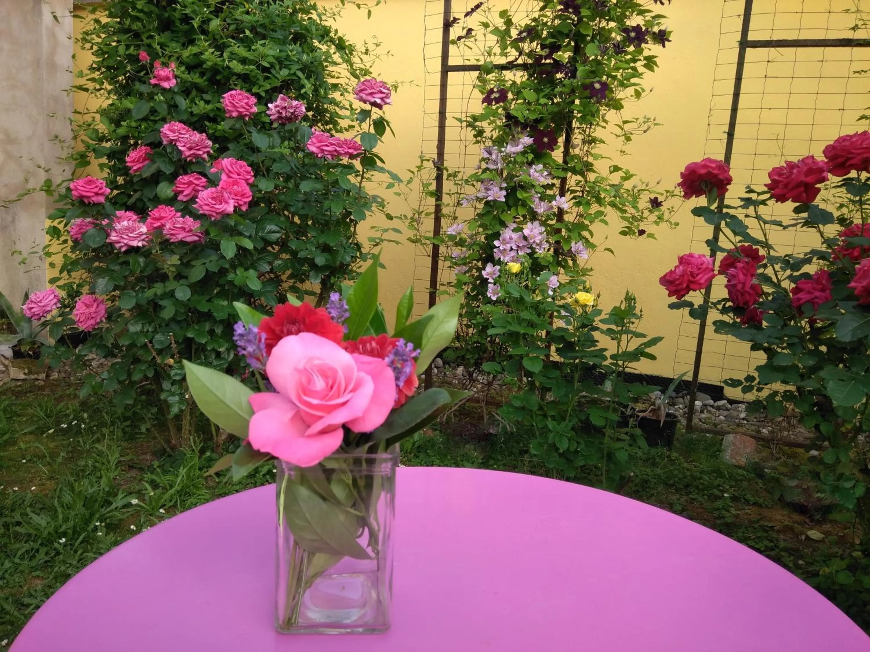 Garden view in La chambre aux hirondelles