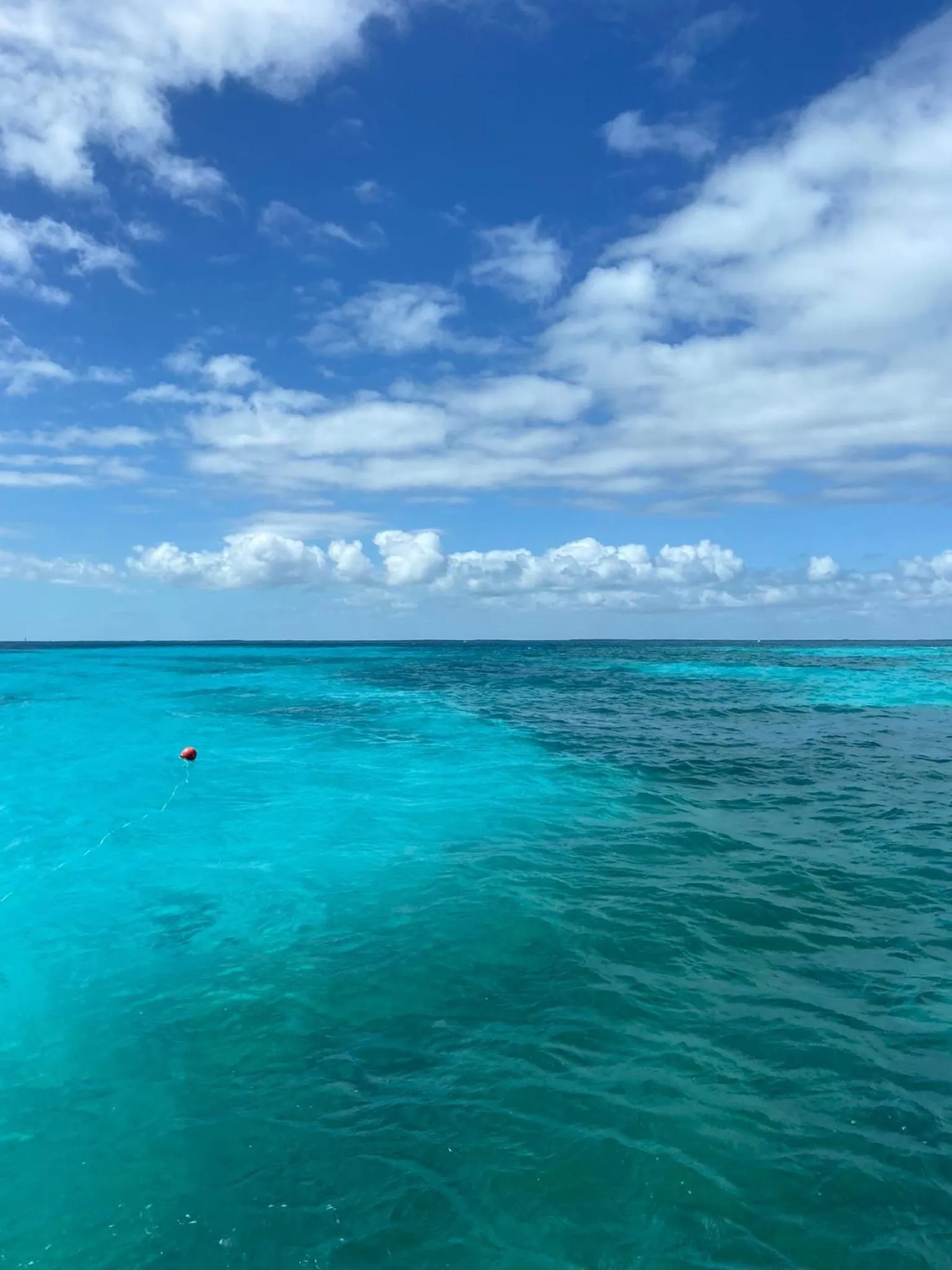 Natural landscape in Beach Tide Motel