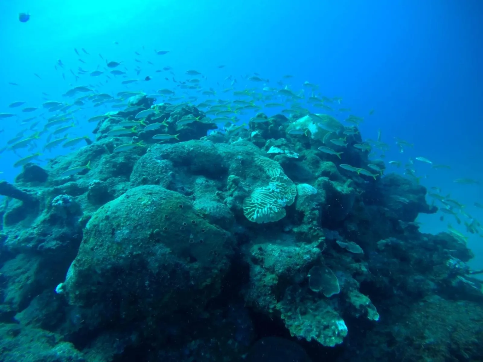 Natural landscape in Beach Tide Motel