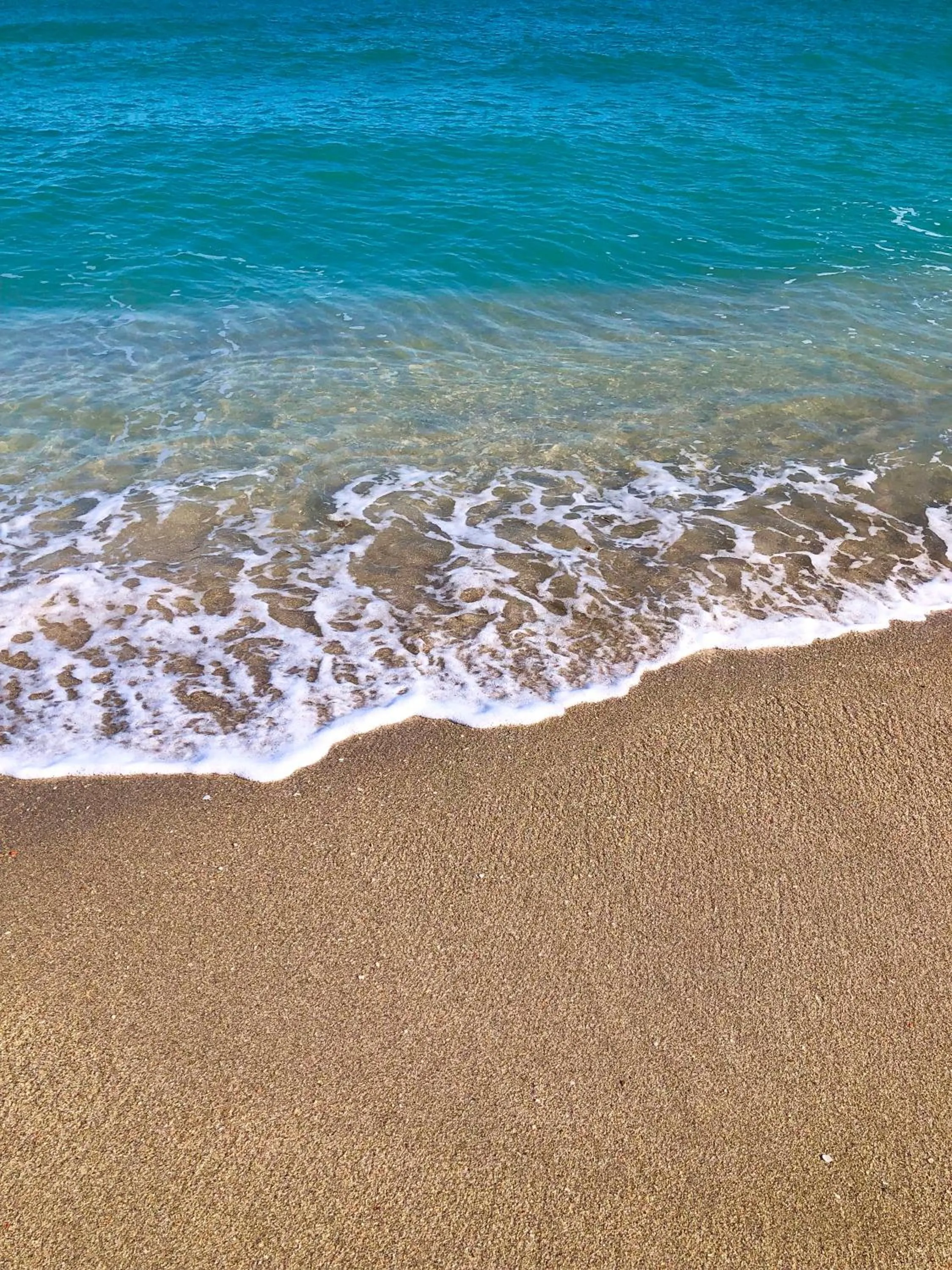 Natural landscape in Beach Tide Motel