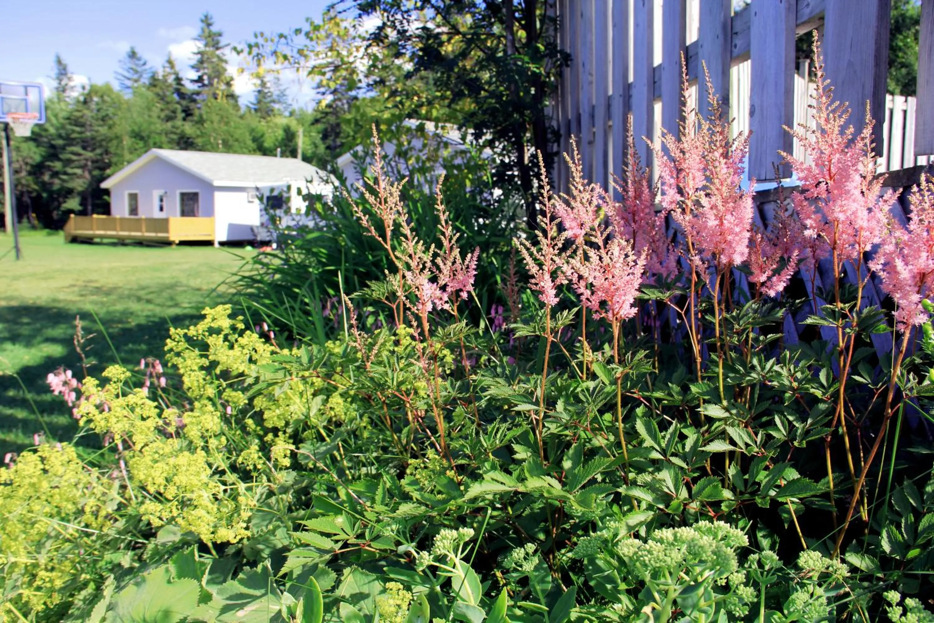 On site in Hidden Acres Cottages