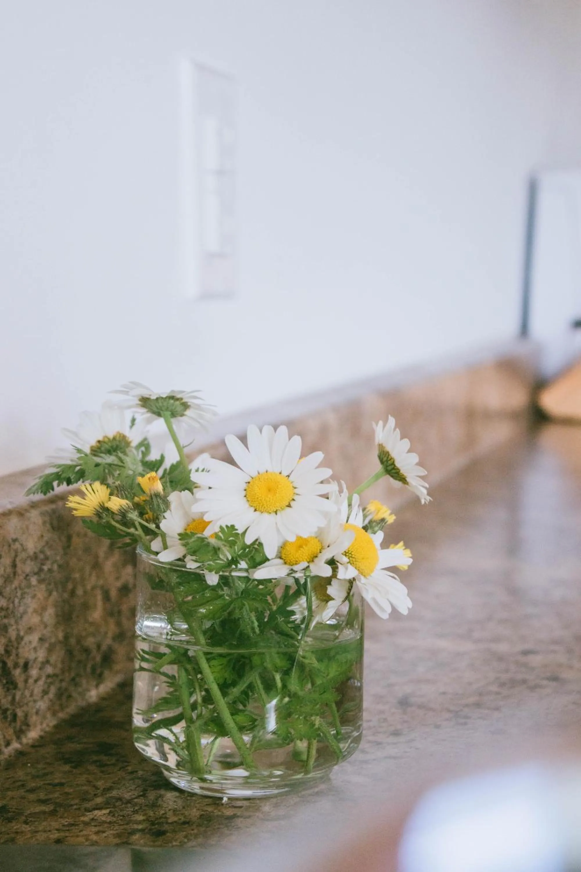 Hidden Acres Cottages