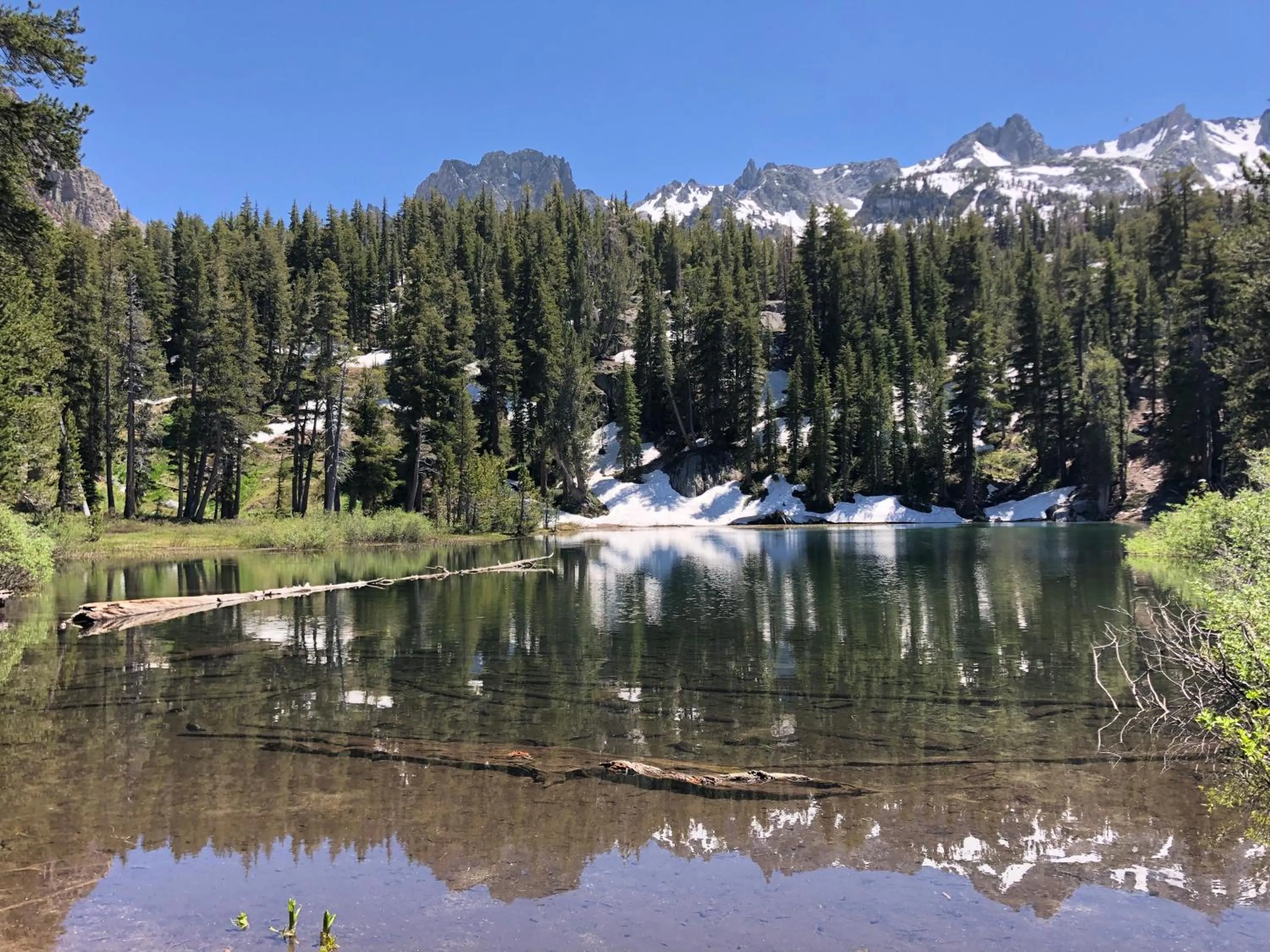 Natural landscape in The Mammoth Inn