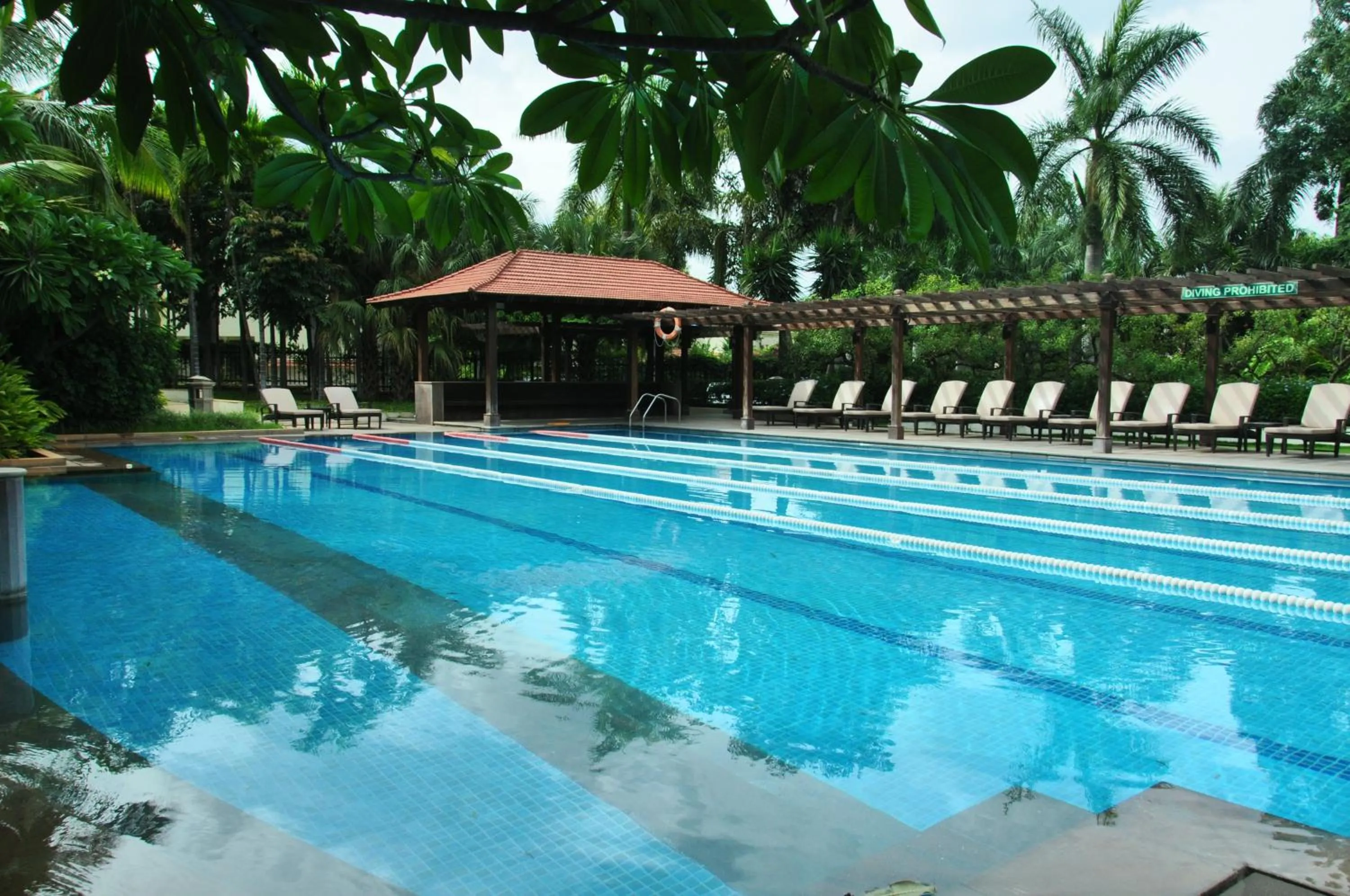 Swimming pool in Palm Meadows Resort