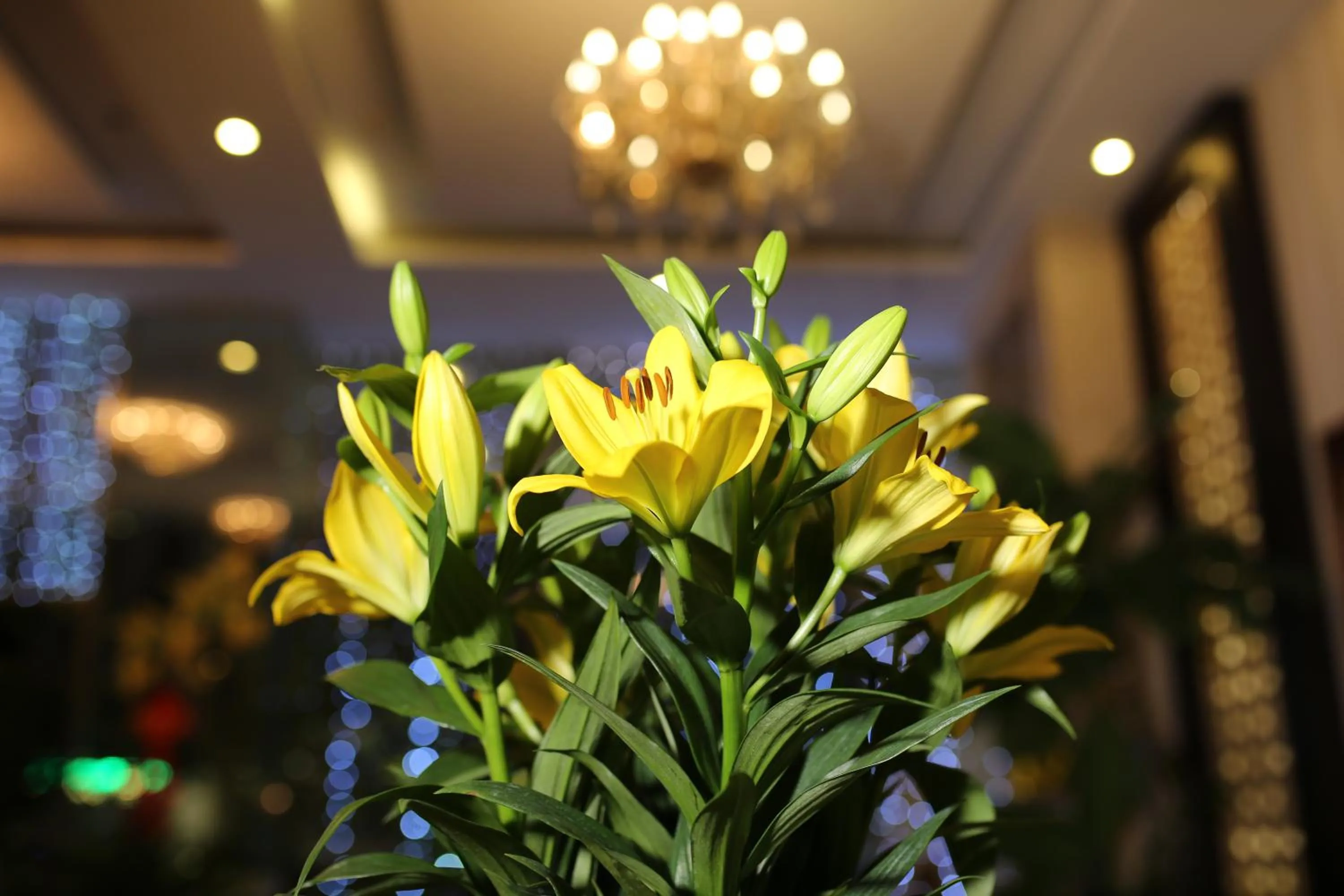 Activities in Hoang Sa Hotel