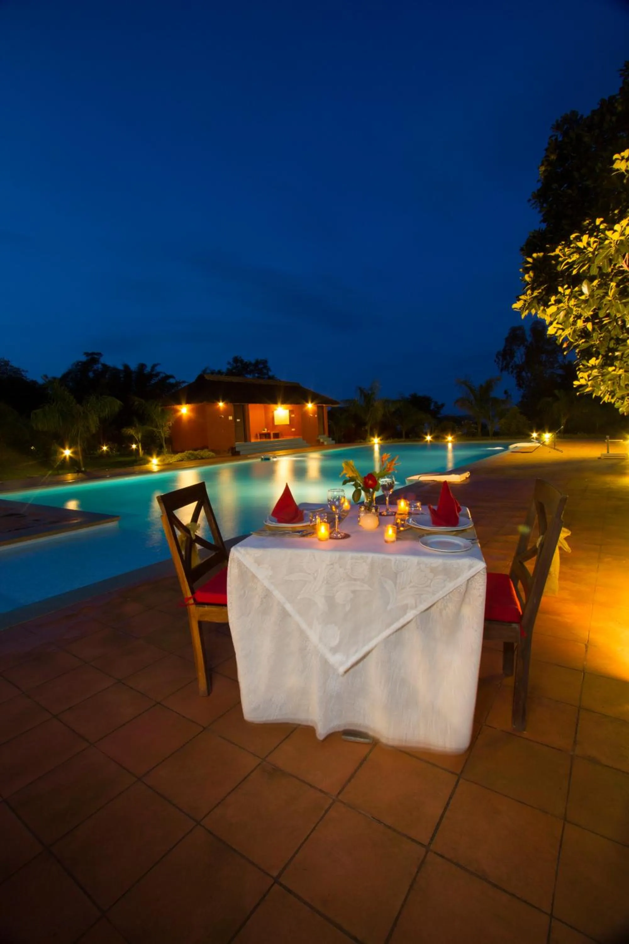 Diving in Red Earth Kabini