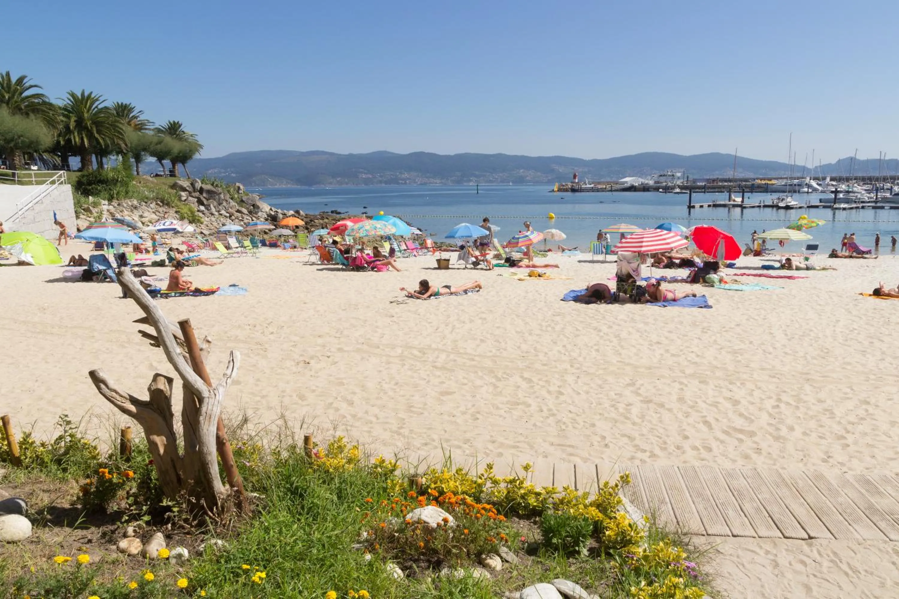 Garden in O Son Do Mar